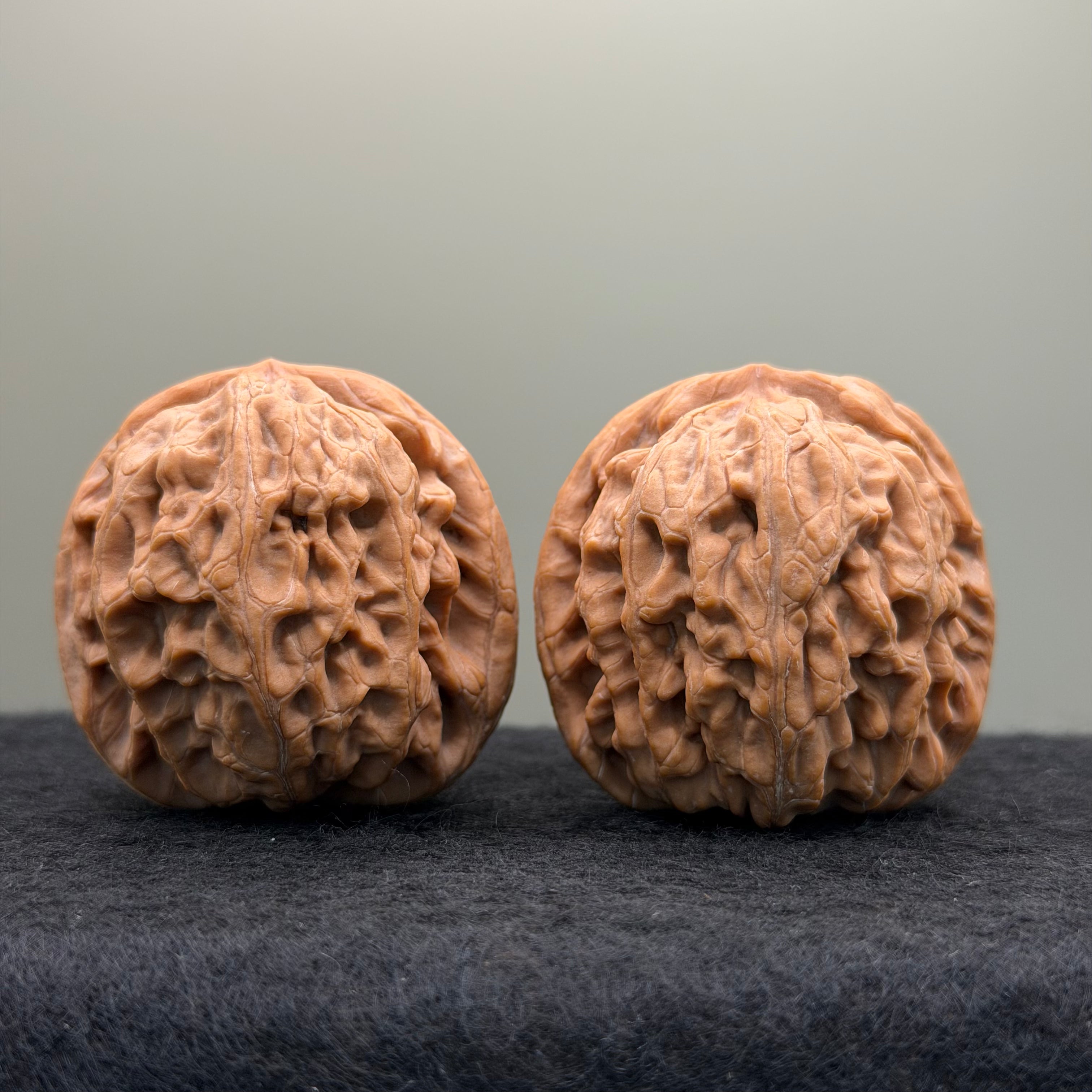 Lotus Lion Head Wenwan Walnut