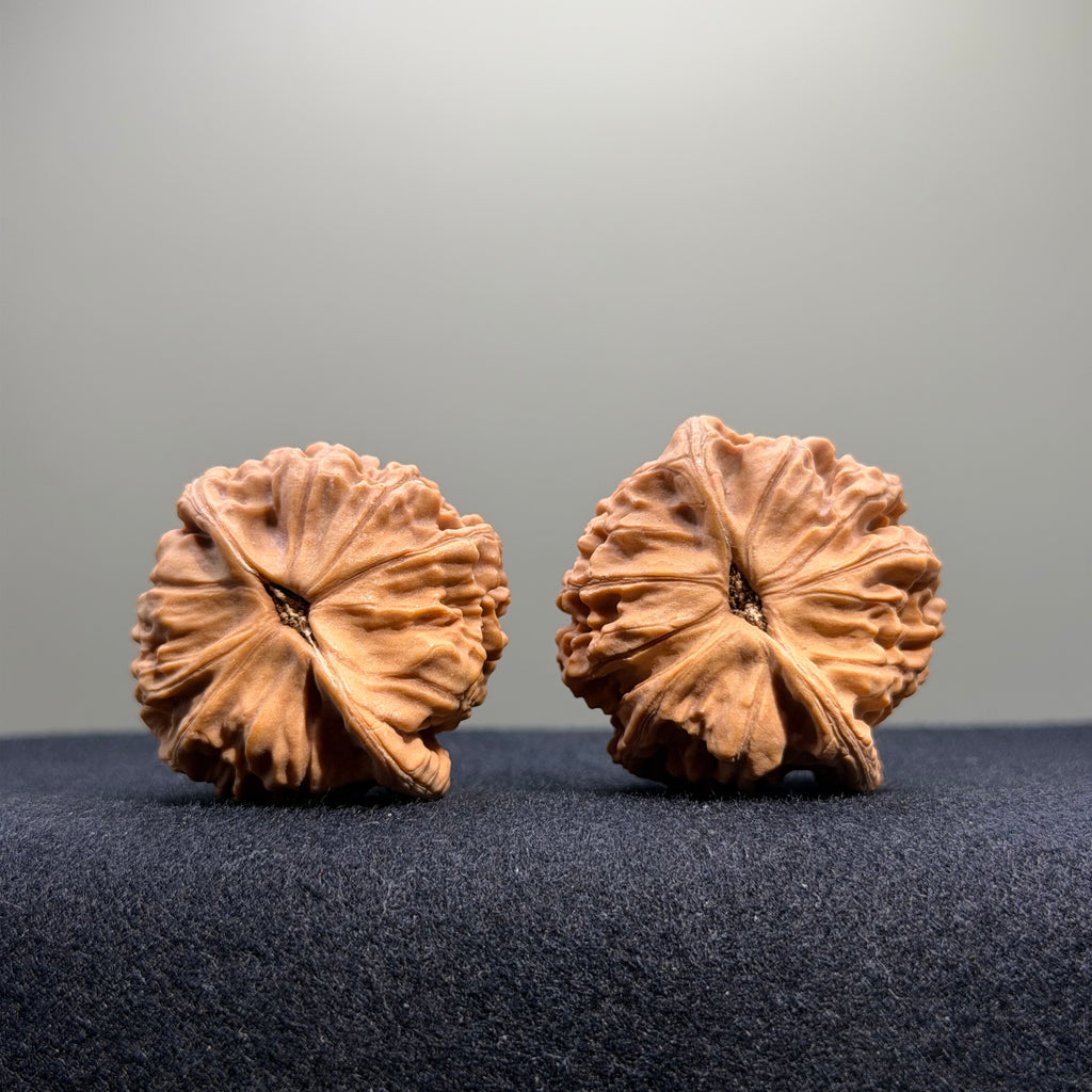 Heaven & Earth Wenwan Walnut · 39mm · Natural · Entry Ritual