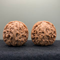Lotus Lion Head Wenwan Walnut