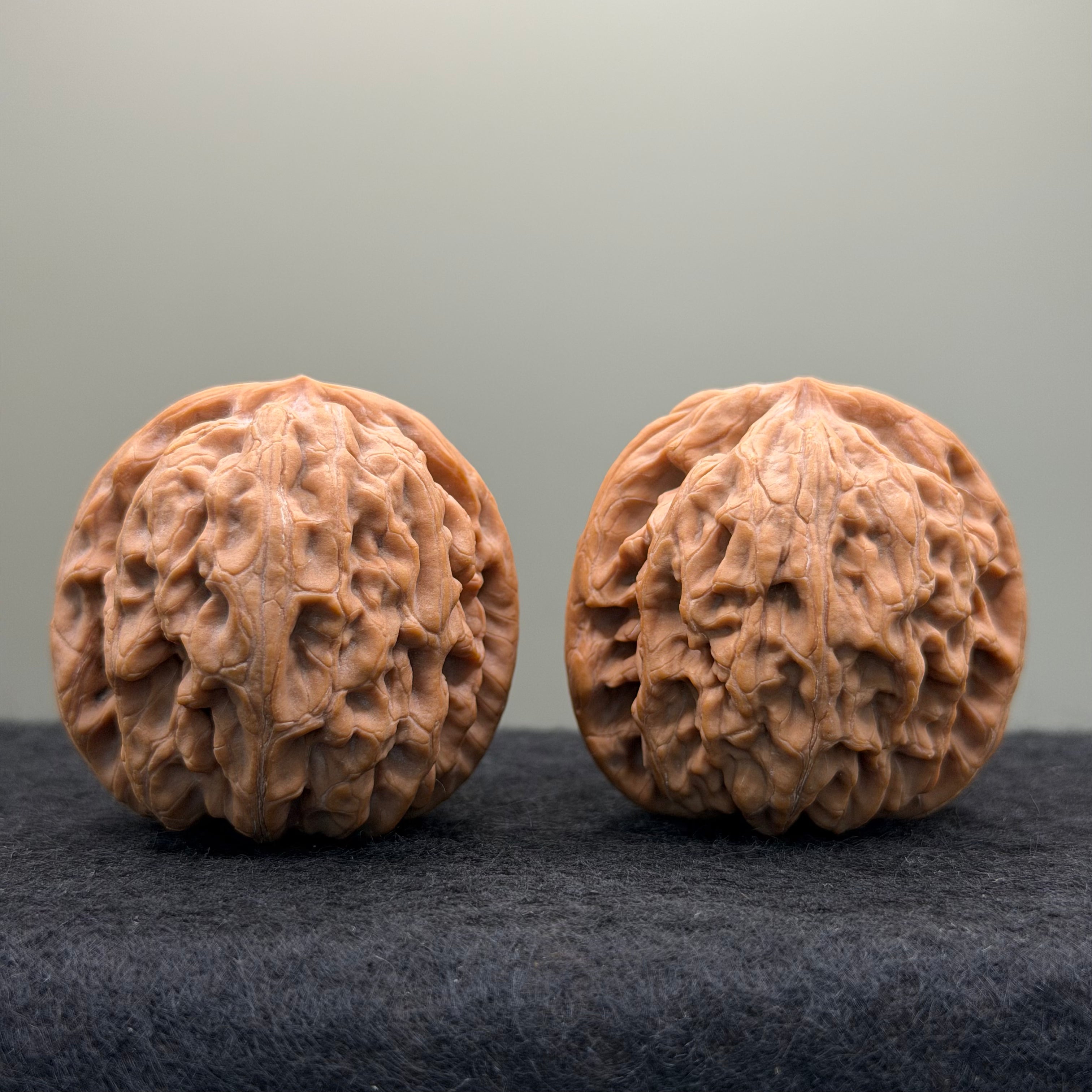 Lotus Lion Head Wenwan Walnut