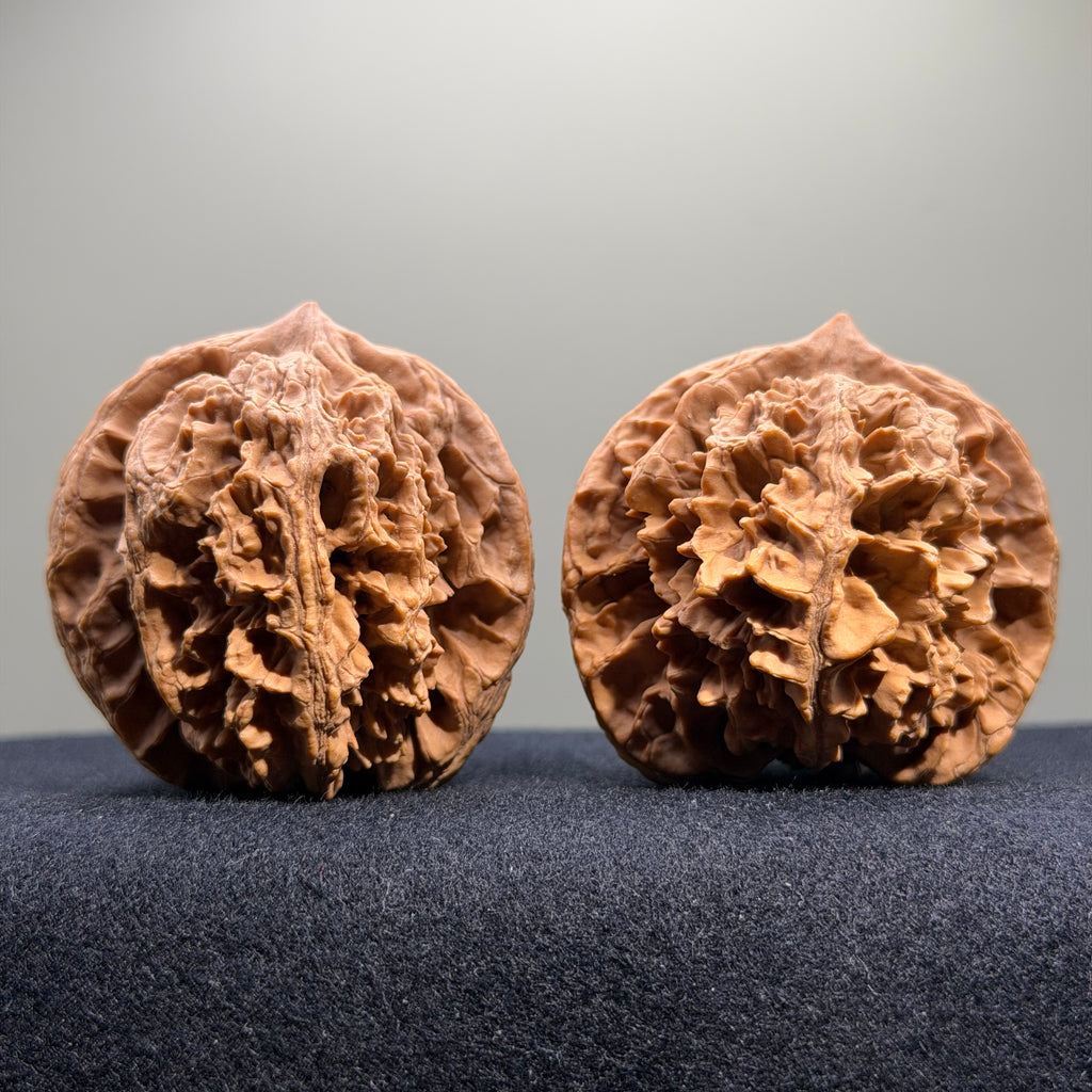 Official Hat Wenwan Walnut · 49mm · Natural · Select Ritual