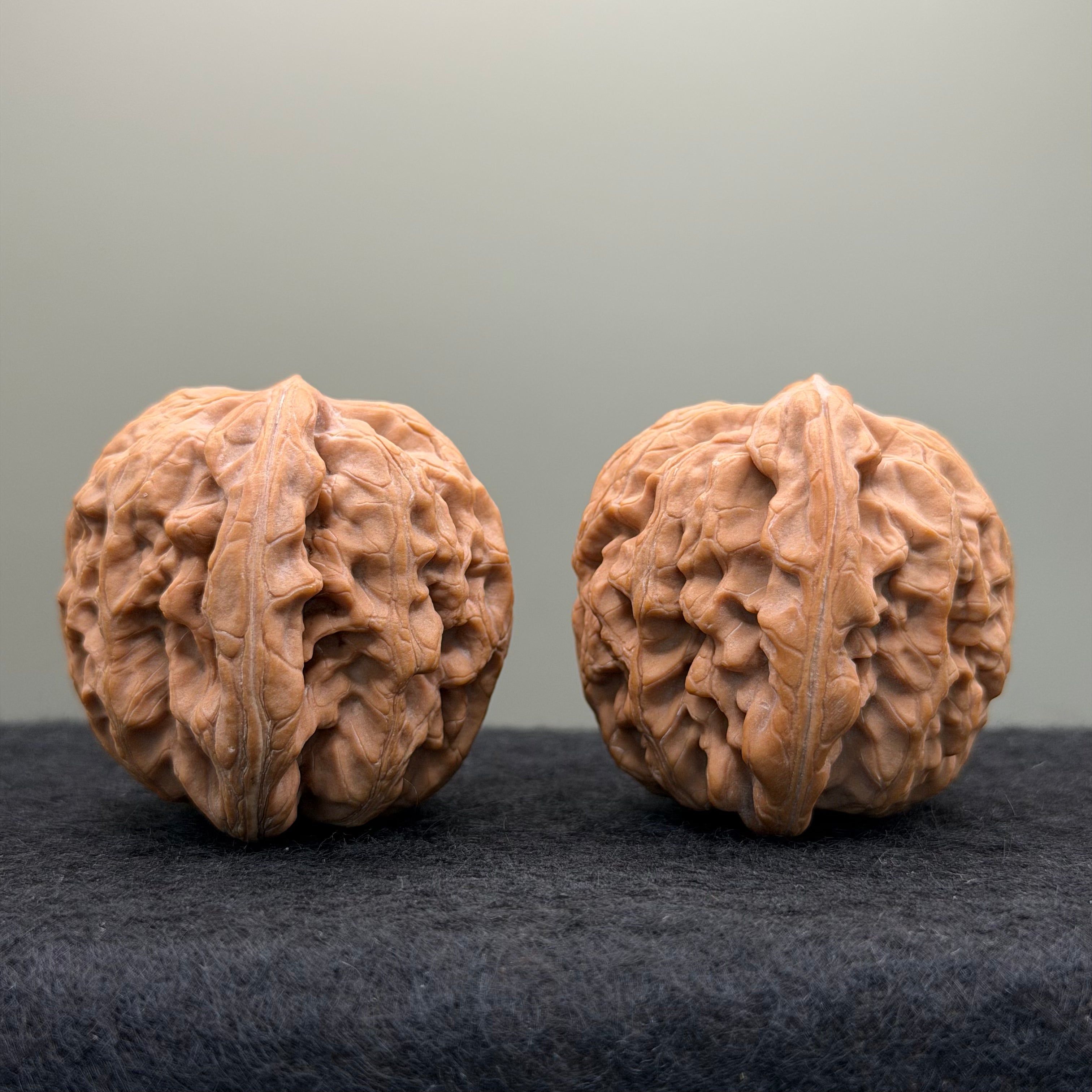 Lotus Lion Head Wenwan Walnut