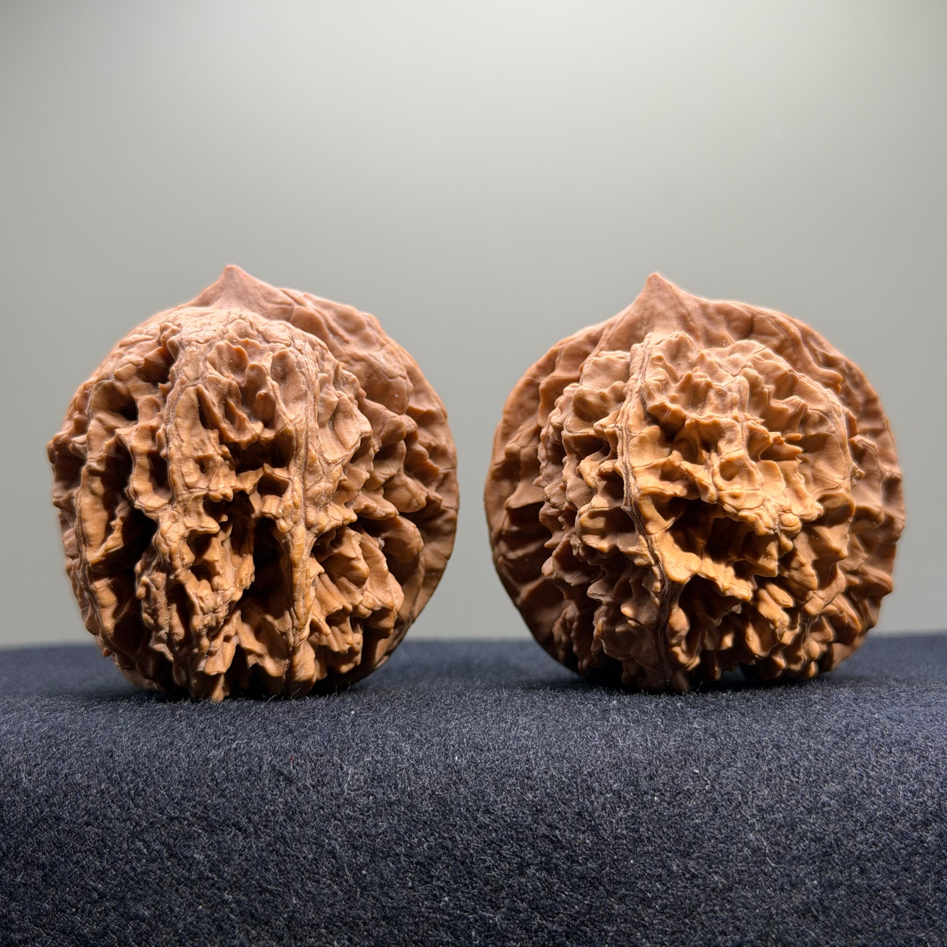Official Hat Wenwan Walnut · 49mm · Natural · Select Ritual