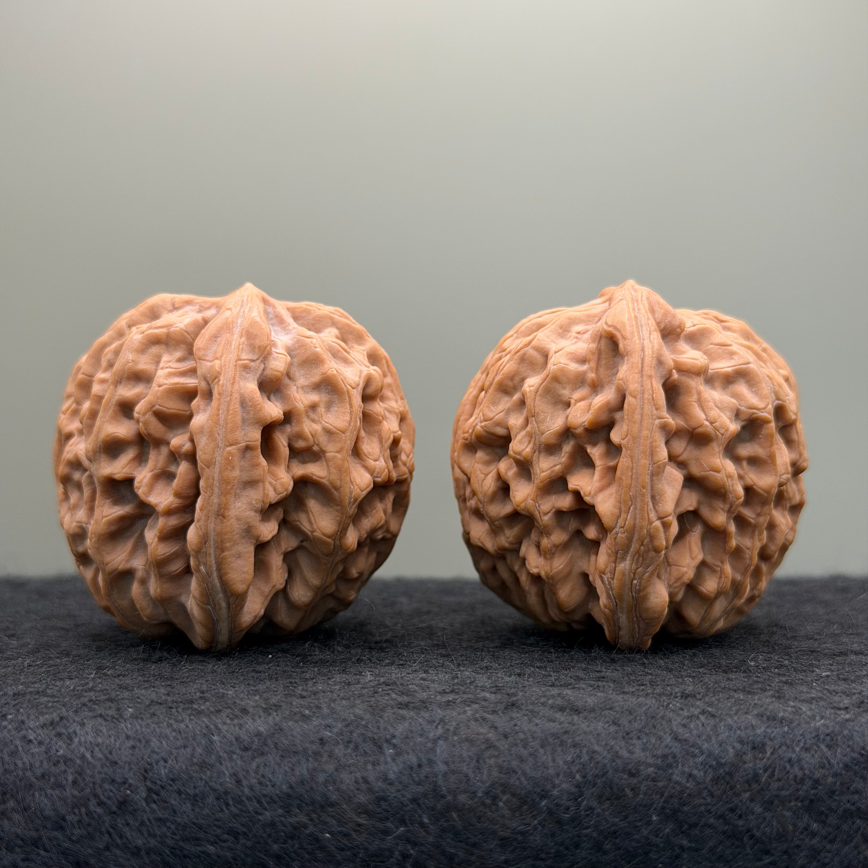 Lotus Lion Head Wenwan Walnut