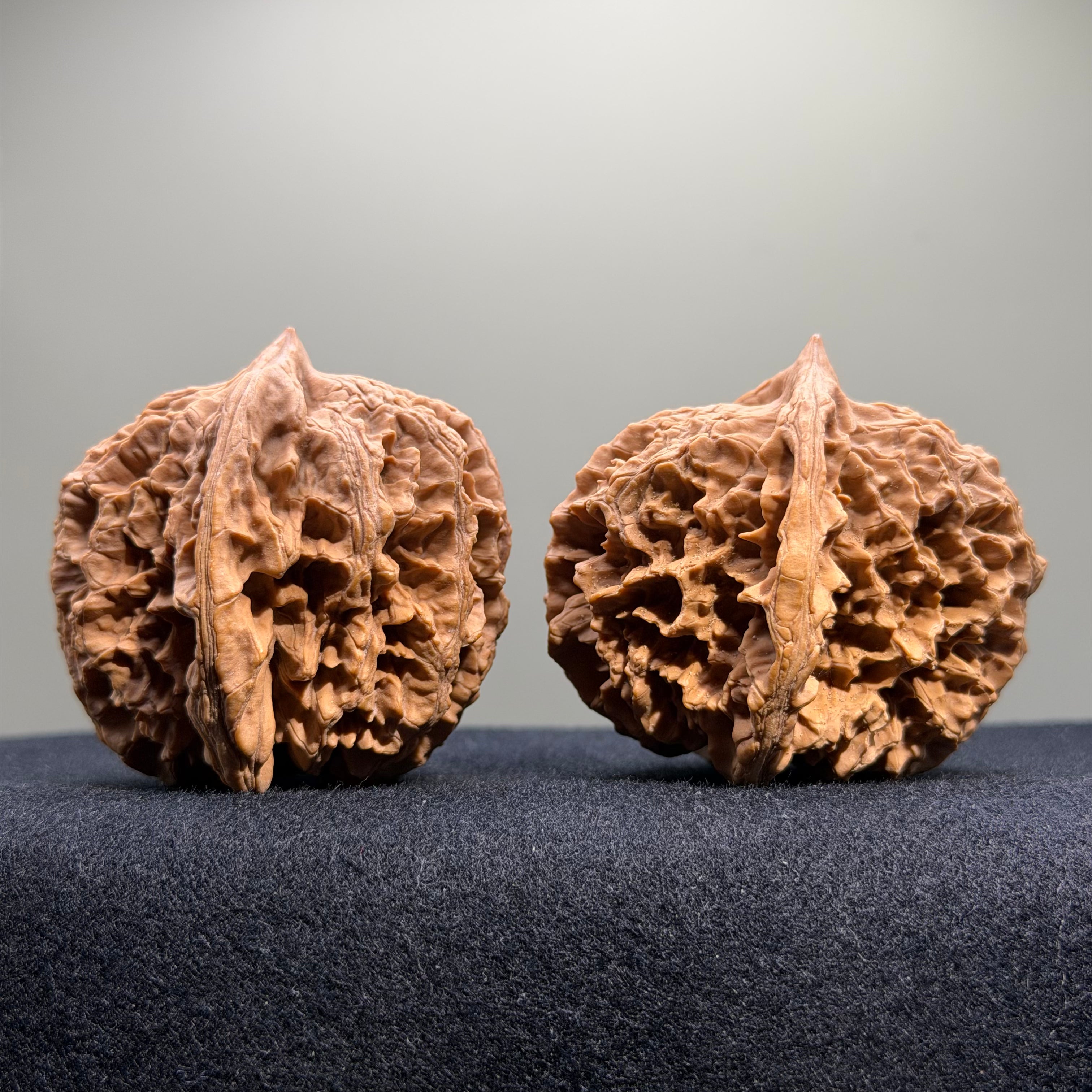 Official Hat Wenwan Walnut · 49mm · Natural · Select Ritual