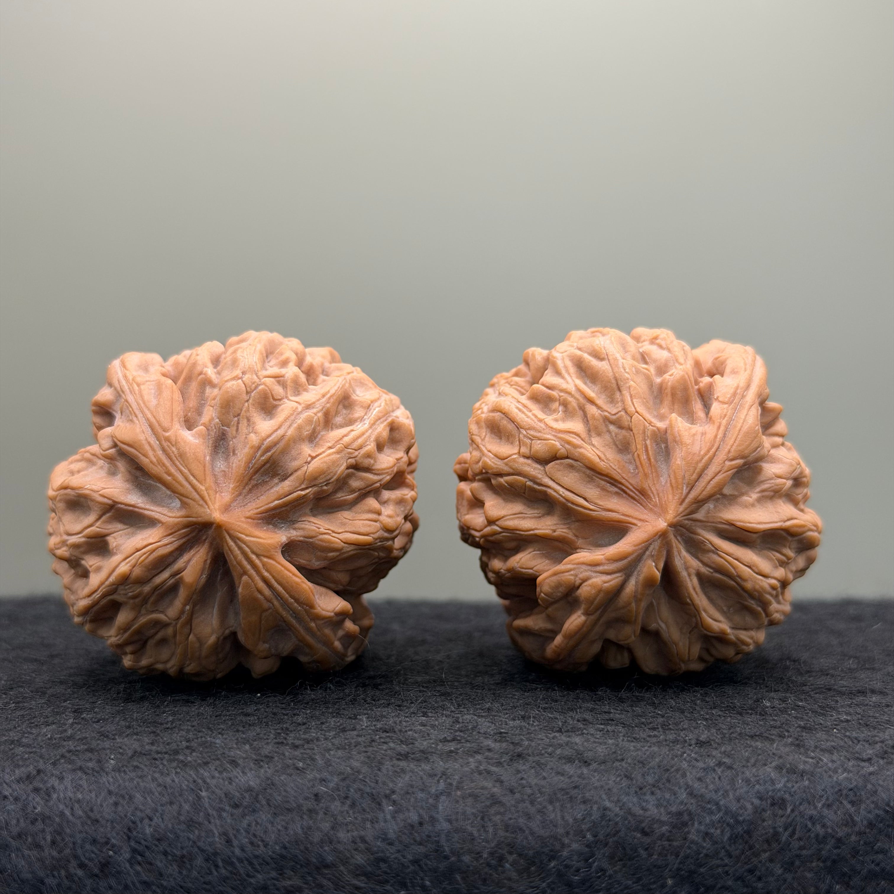 Lotus Lion Head Wenwan Walnut