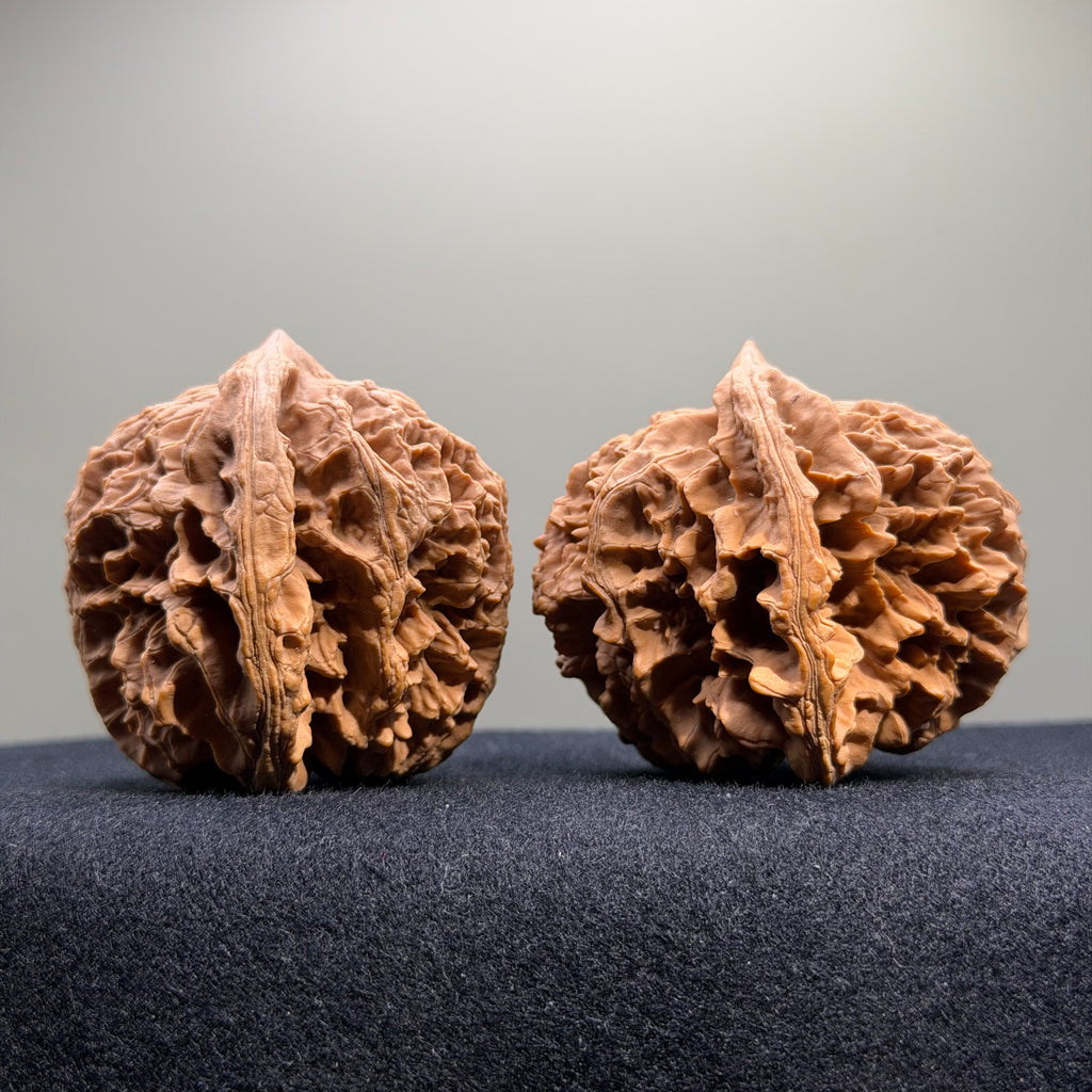Official Hat Wenwan Walnut · 49mm · Natural · Select Ritual