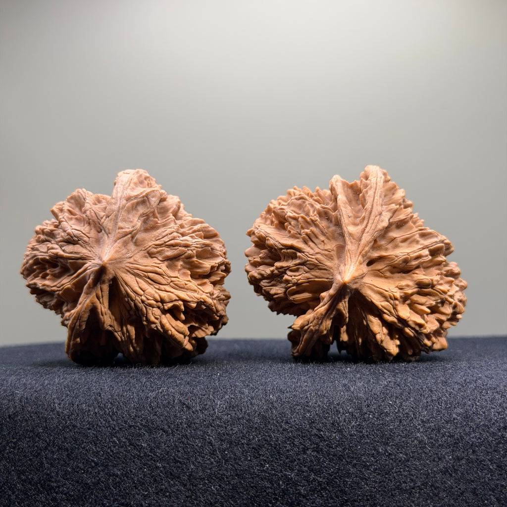 Official Hat Wenwan Walnut · 49mm · Natural · Select Ritual