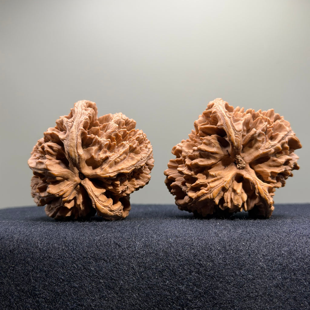 Official Hat Wenwan Walnut · 49mm · Natural · Select Ritual