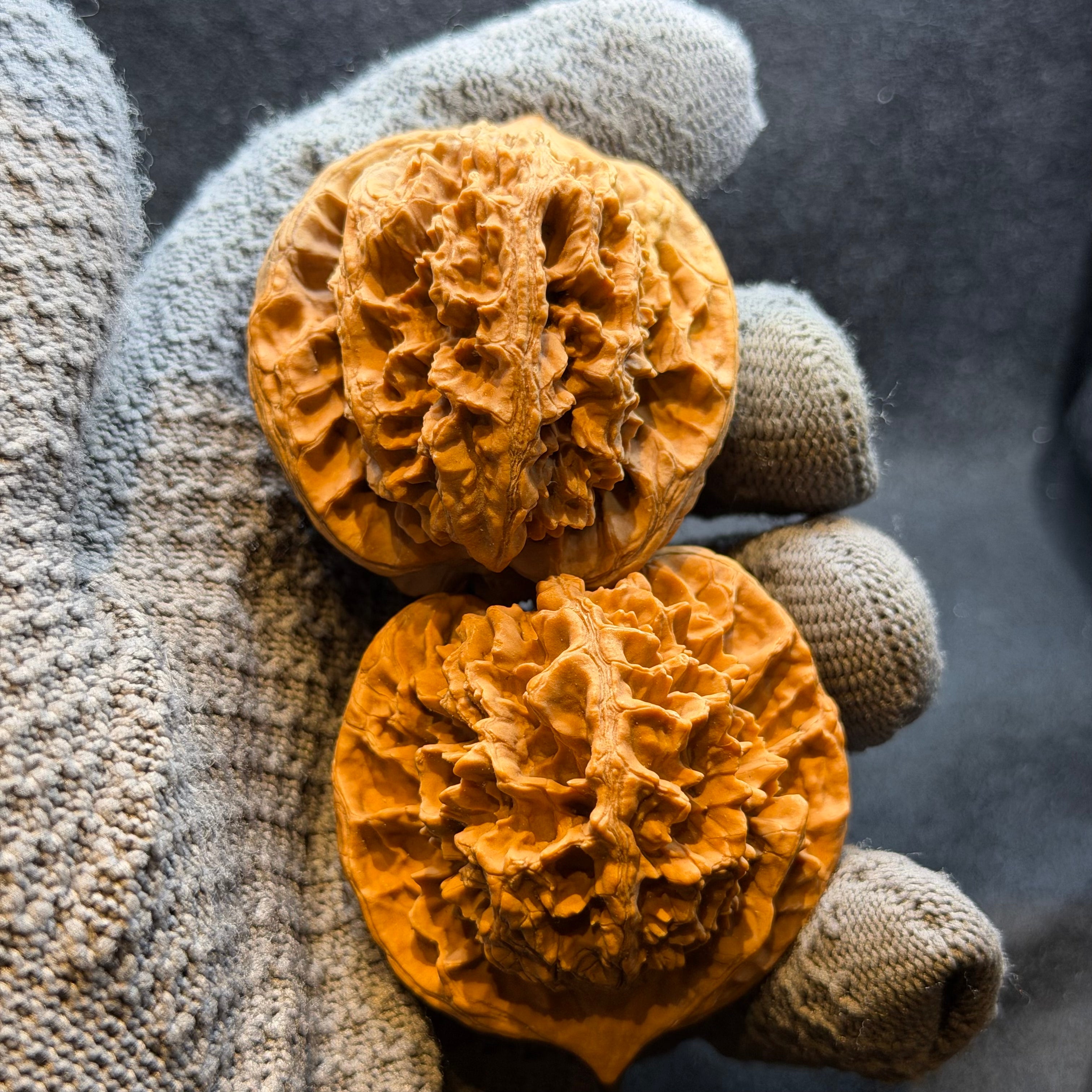 Official Hat Wenwan Walnut · 49mm · Natural · Select Ritual