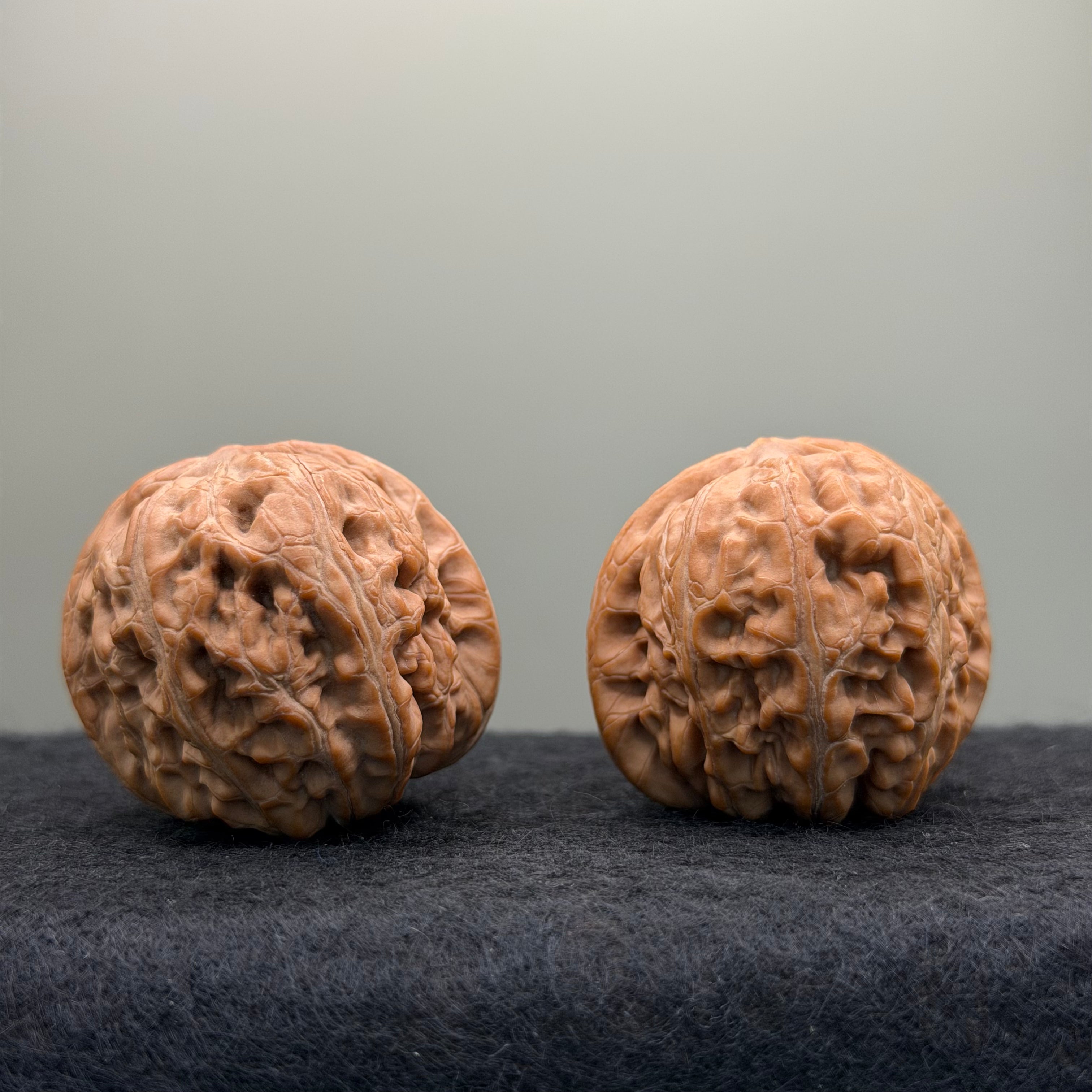 Ingot Lion Head Wenwan Walnut