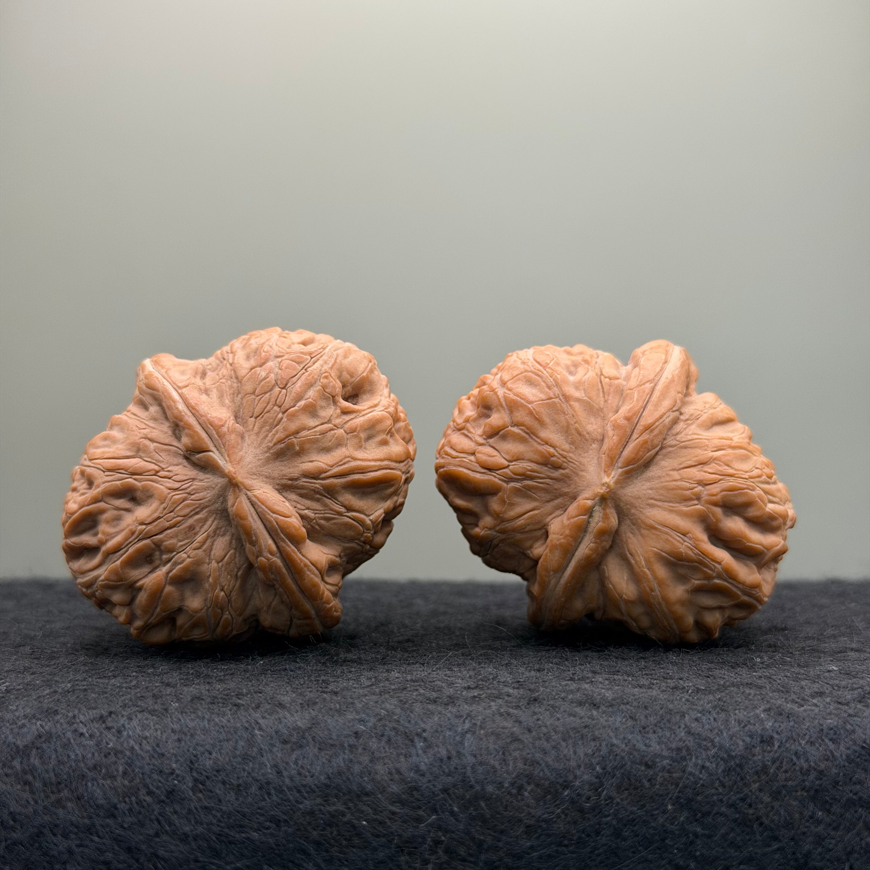 Ingot Lion Head Wenwan Walnut