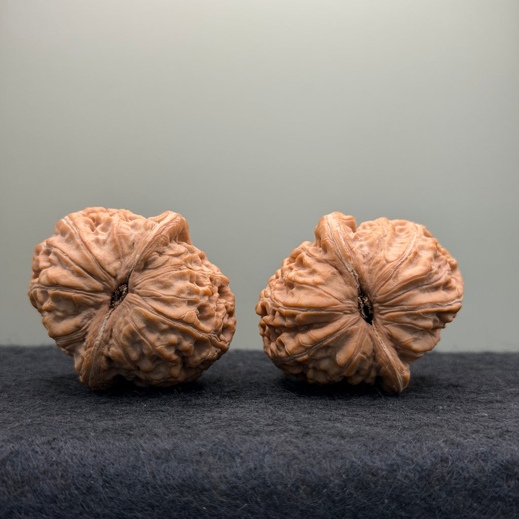 Ingot Lion Head Wenwan Walnut