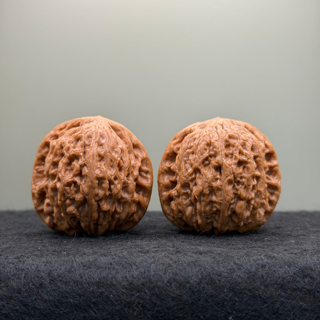 Hammer Lion Head Wenwan Walnut