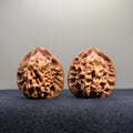 Dragon Scale Lion Head Wenwan Walnut · 35mm · Natural · Collector Ritual