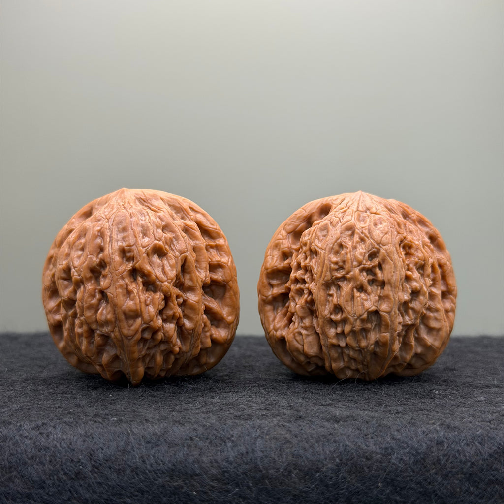 Hammer Lion Head Wenwan Walnut