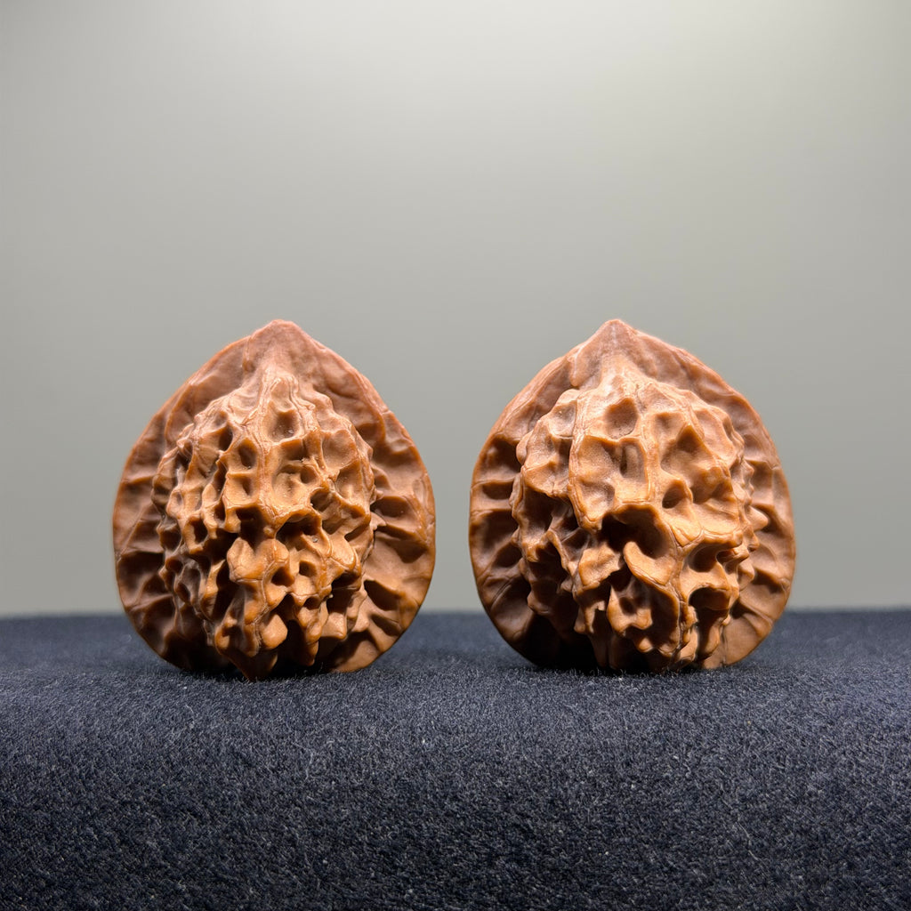 Dragon Scale Lion Head Wenwan Walnut · 35mm · Natural · Collector Ritual