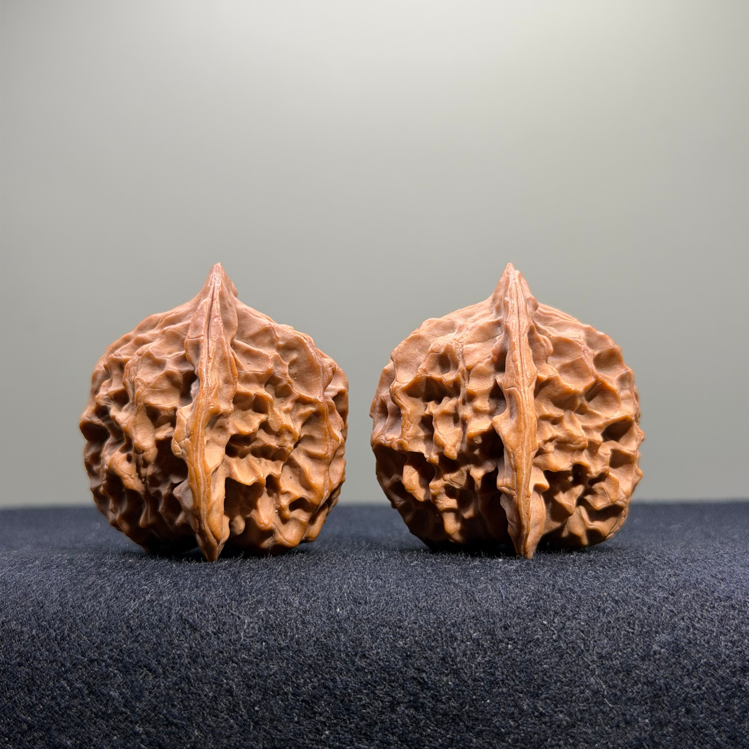 Dragon Scale Lion Head Wenwan Walnut · 35mm · Natural · Collector Ritual
