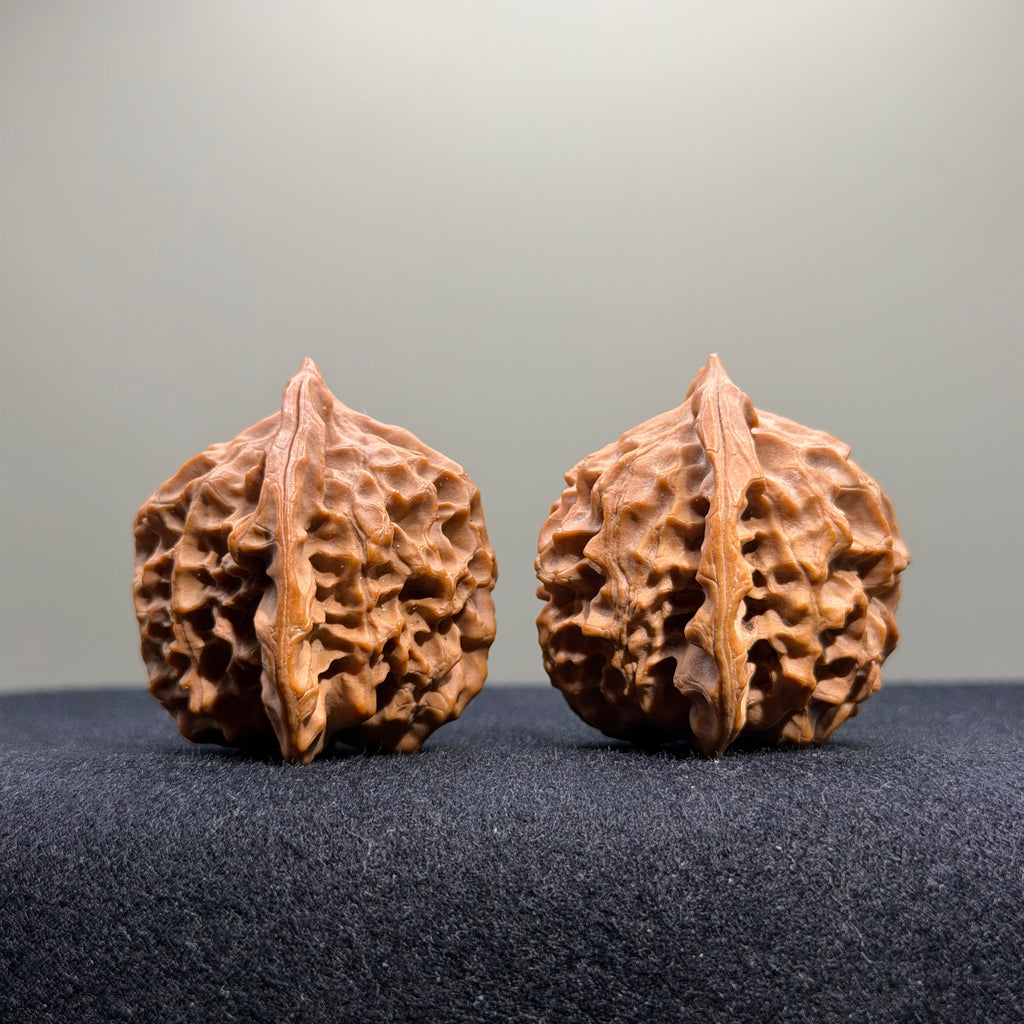 Dragon Scale Lion Head Wenwan Walnut · 35mm · Natural · Collector Ritual