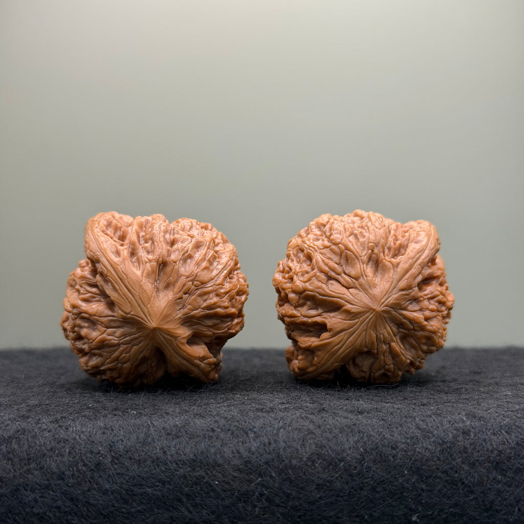 Hammer Lion Head Wenwan Walnut