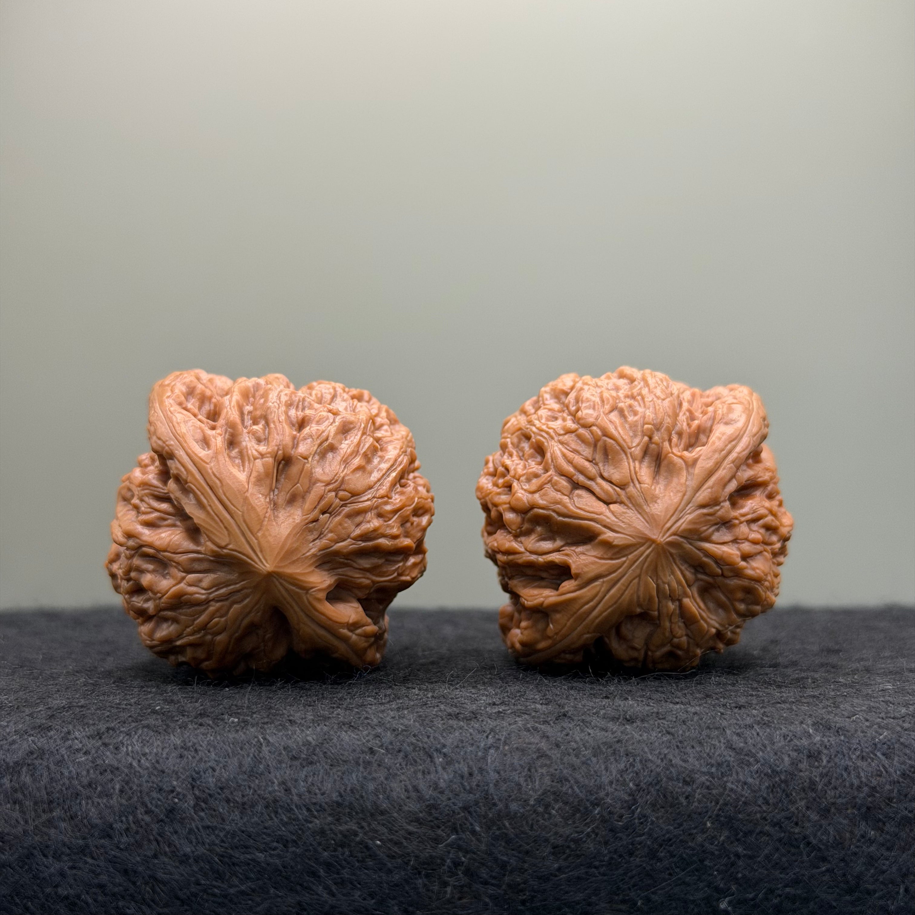 Hammer Lion Head Wenwan Walnut