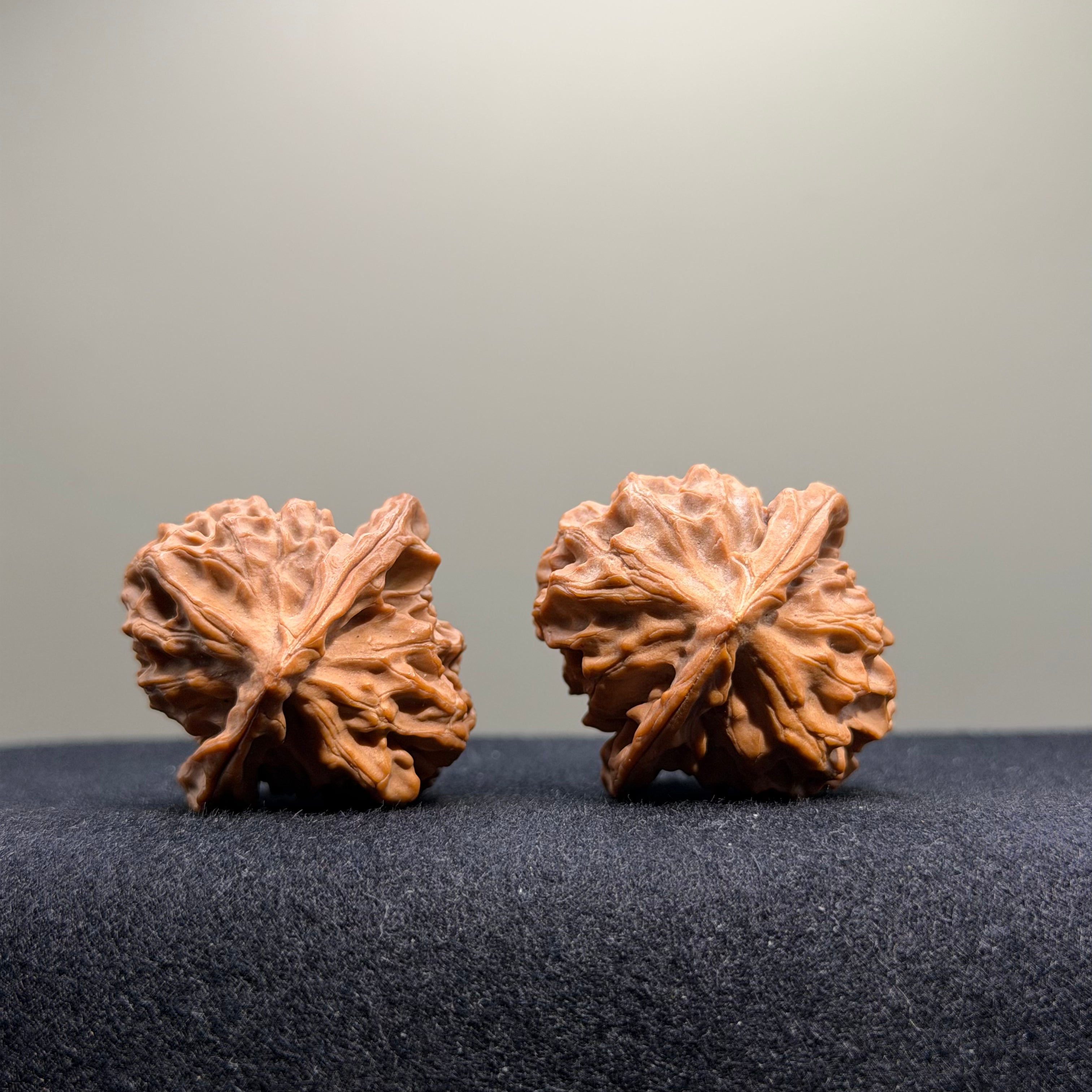 Dragon Scale Lion Head Wenwan Walnut · 35mm · Natural · Collector Ritual