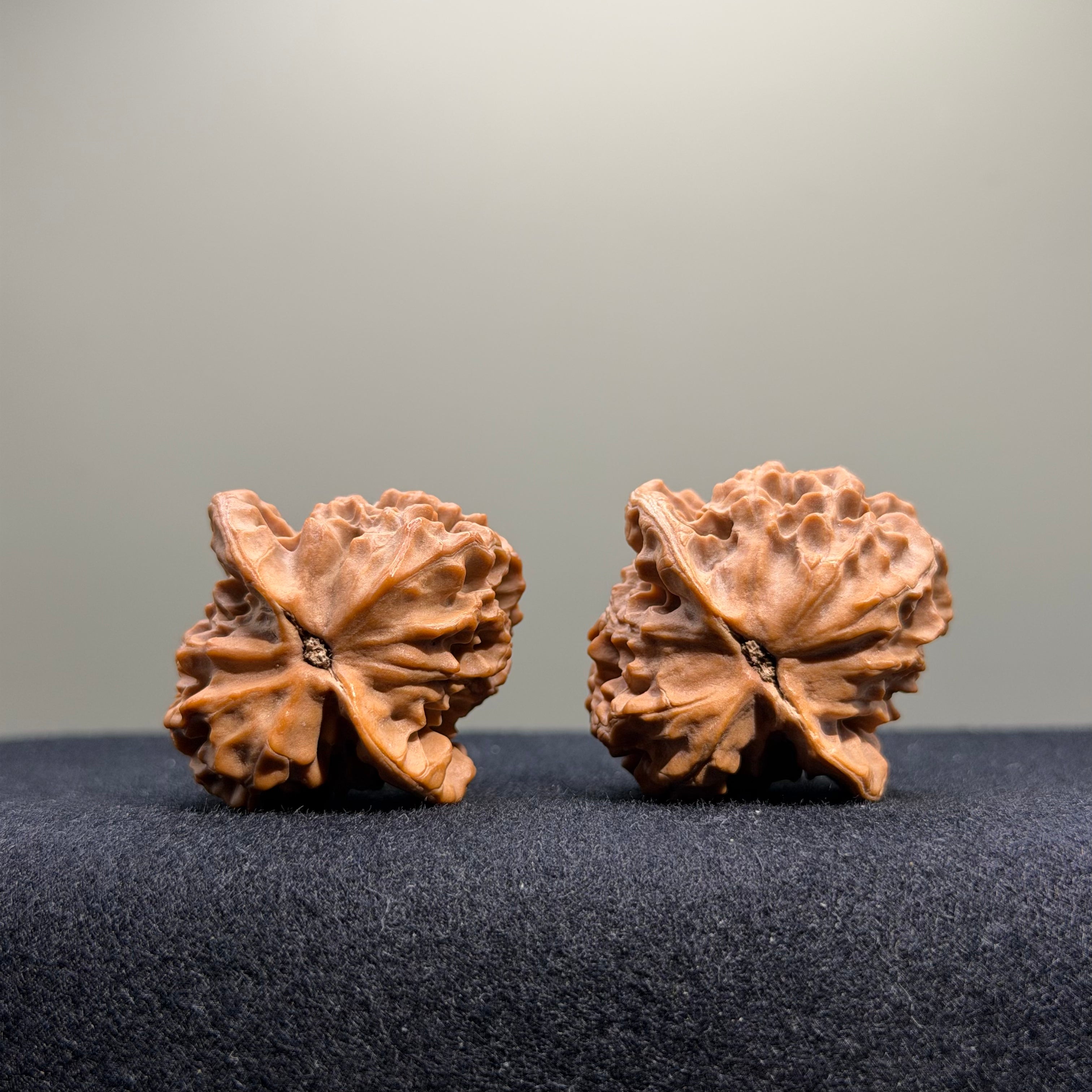 Dragon Scale Lion Head Wenwan Walnut · 35mm · Natural · Collector Ritual