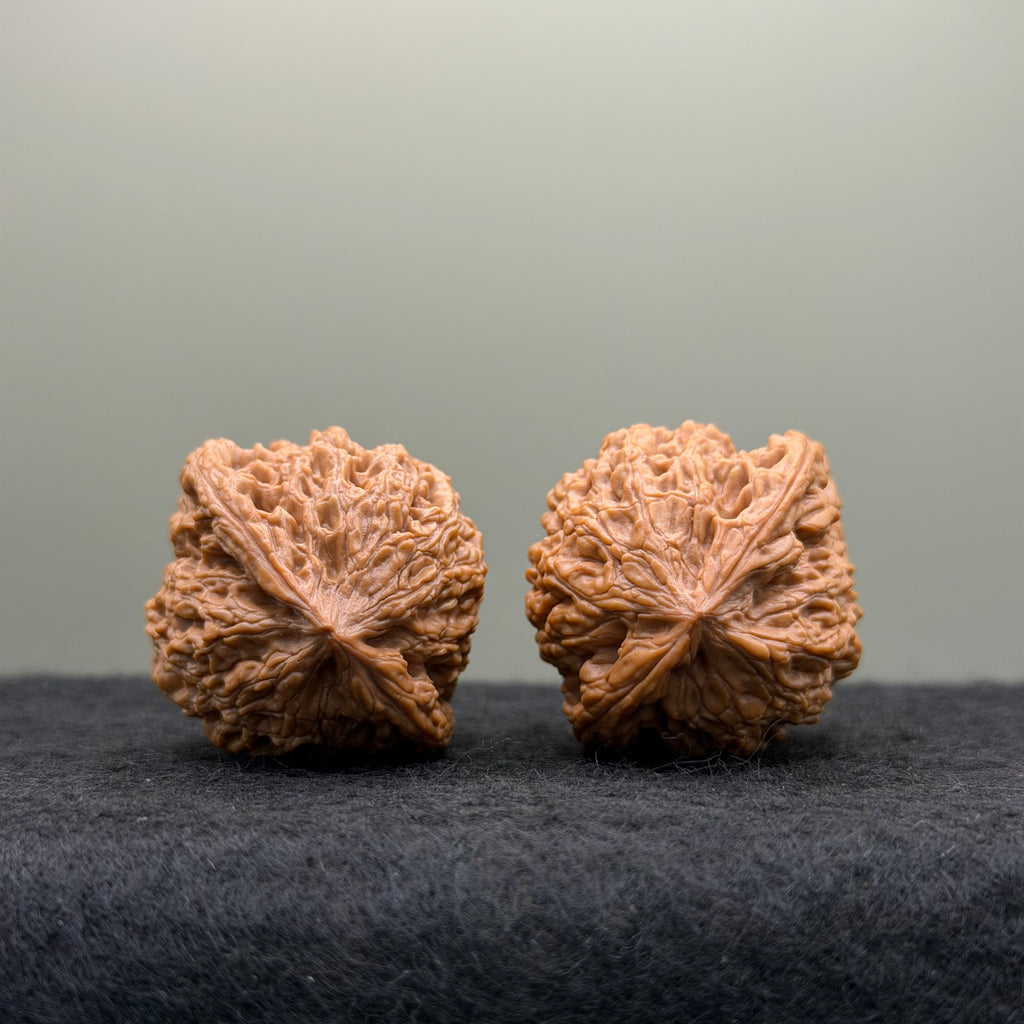 Tiger Head King Wenwan Walnut