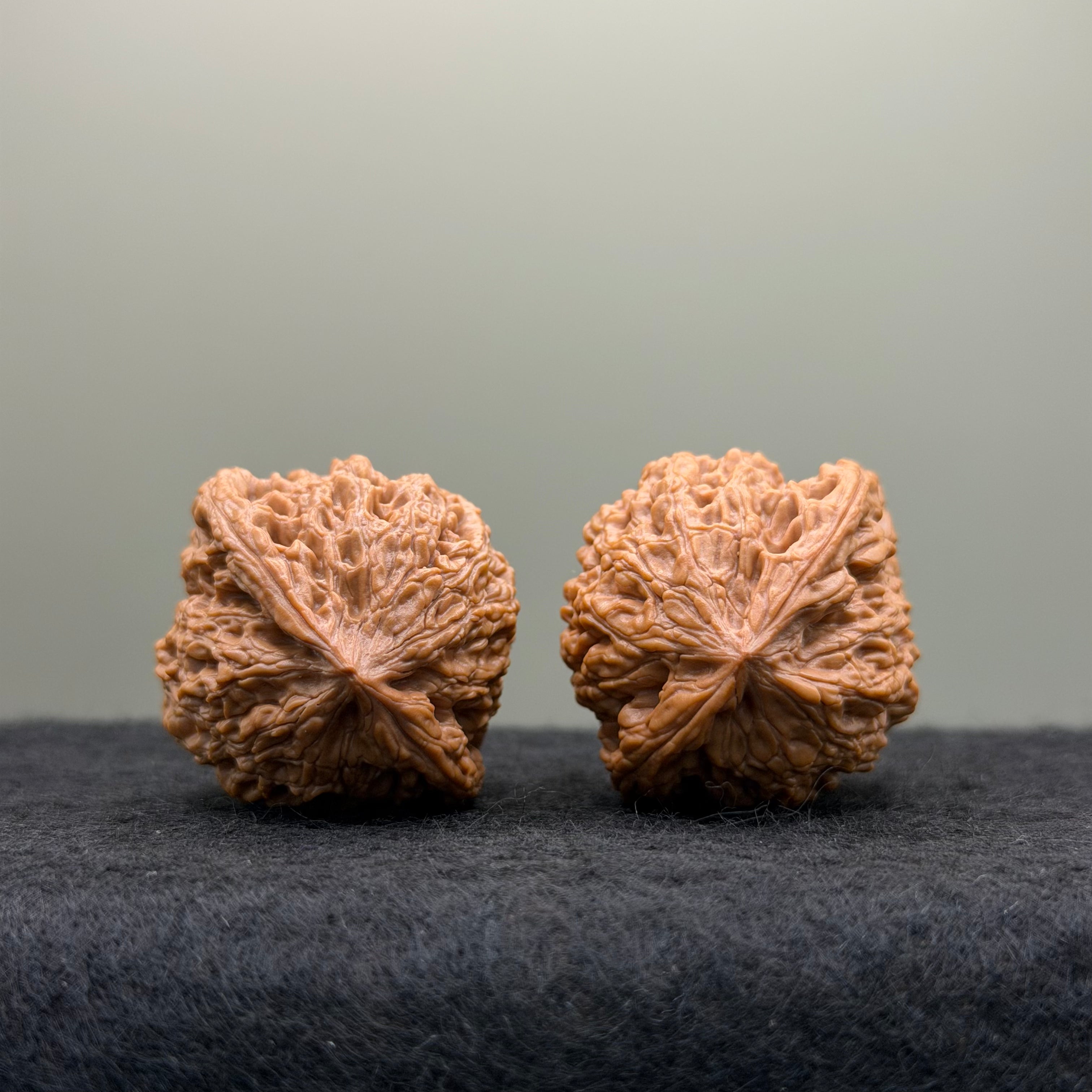 Tiger Head King Wenwan Walnut