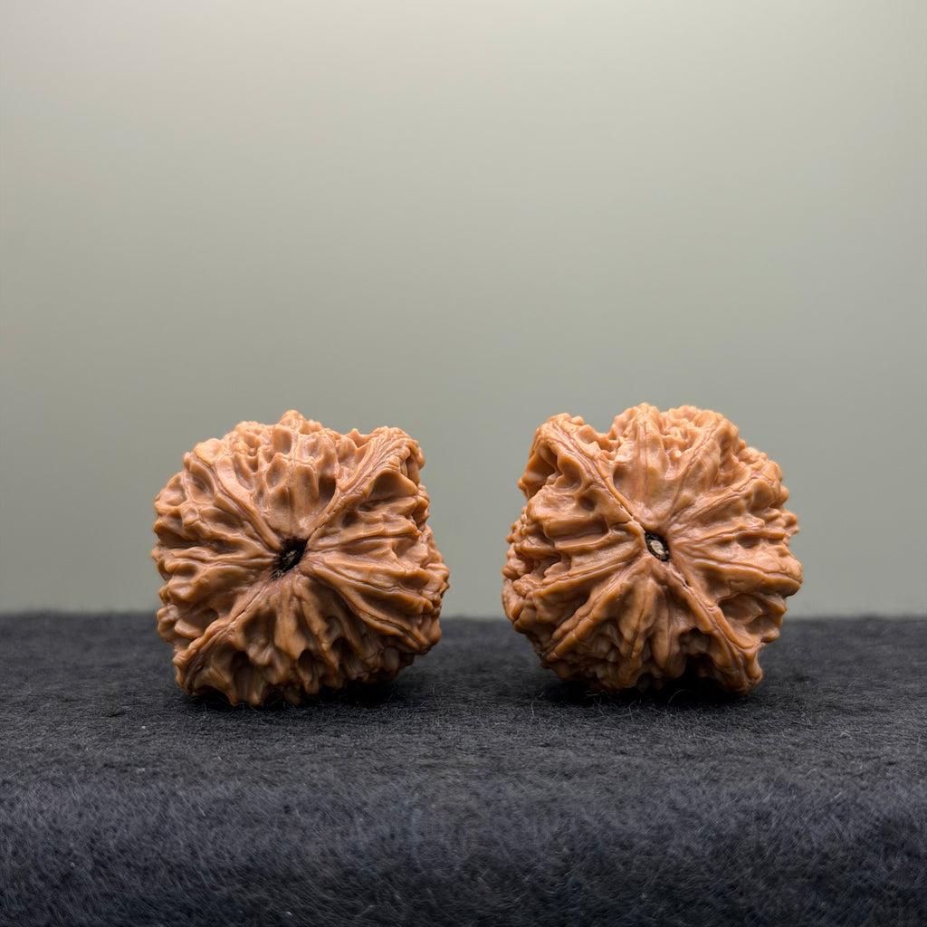 Tiger Head King Wenwan Walnut