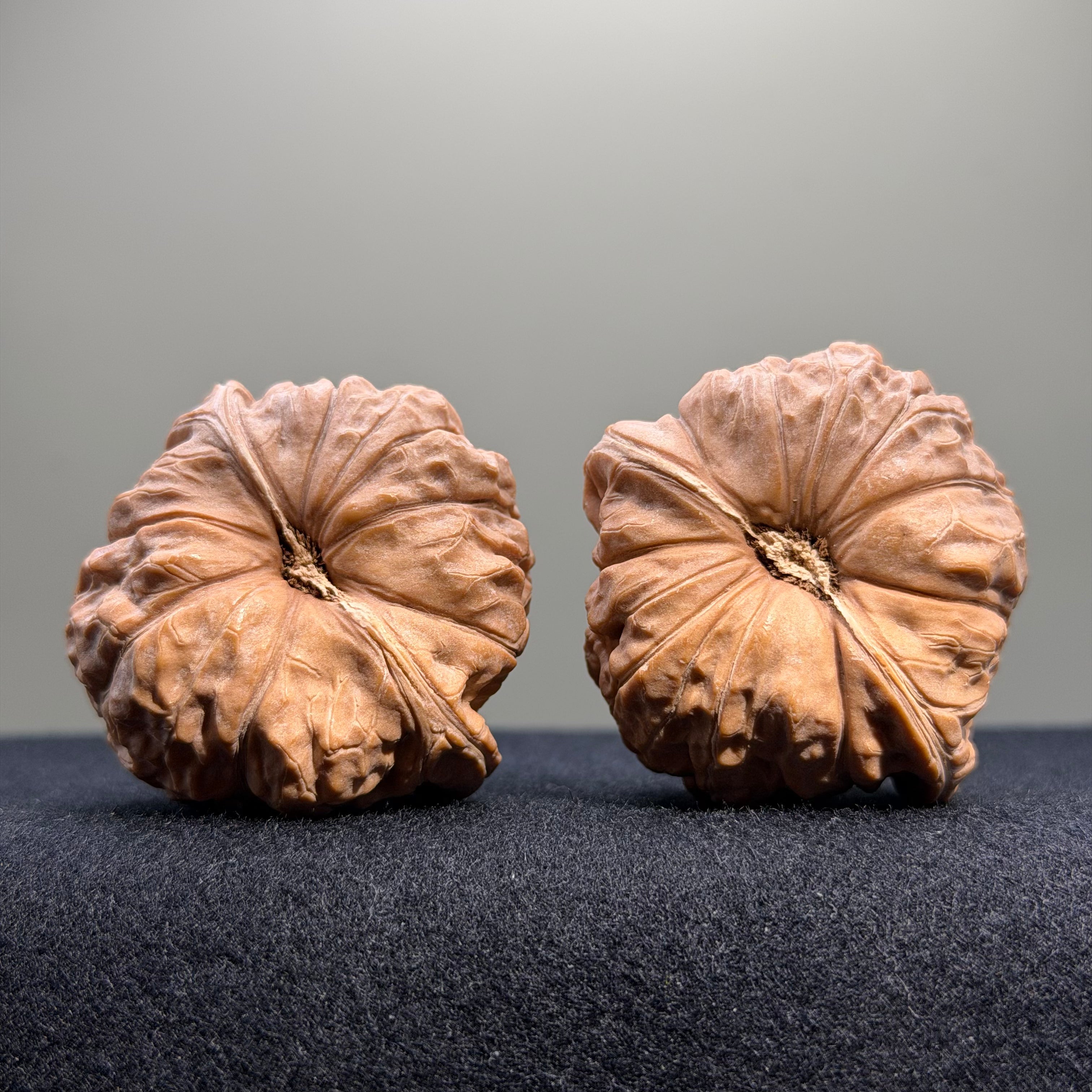 Pumpkin Wenwan Walnut · 43mm · Natural · Entry Ritual