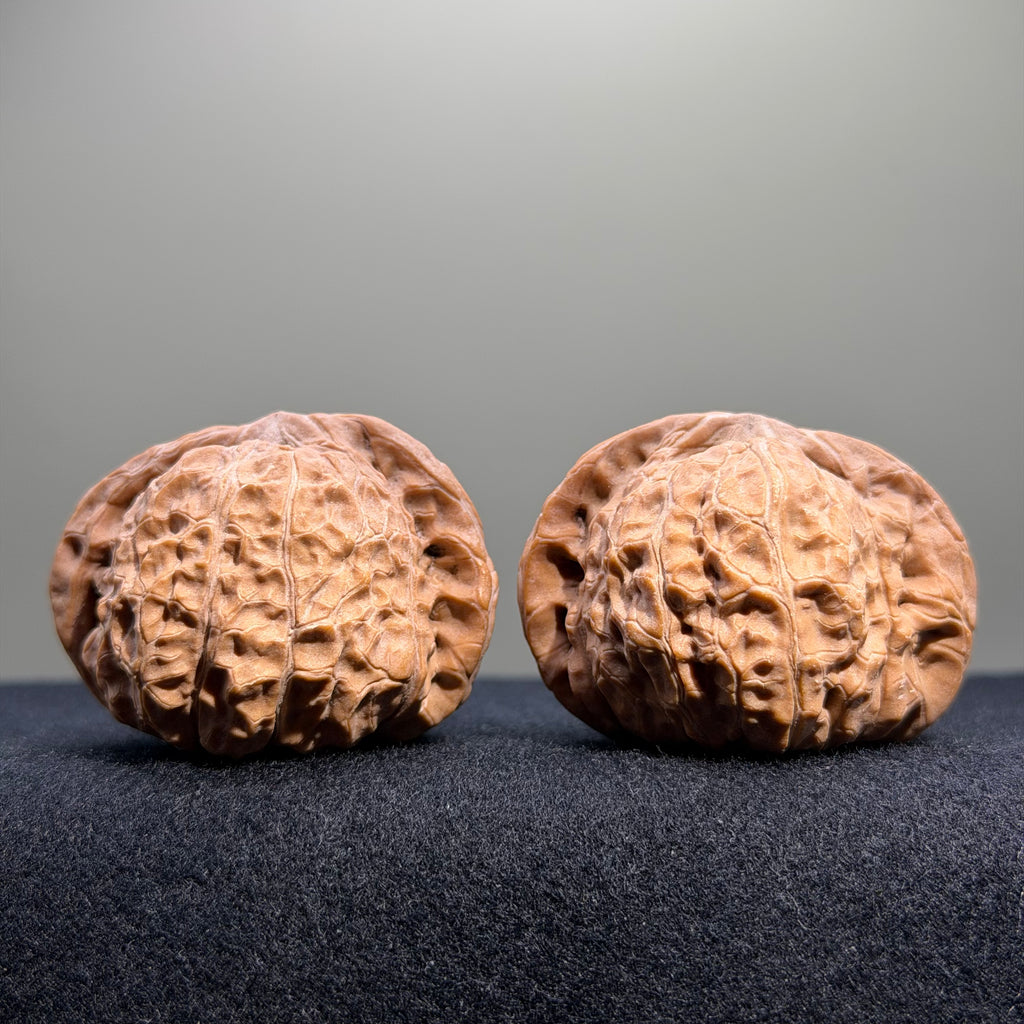 Pumpkin Wenwan Walnut · 43mm · Natural · Entry Ritual