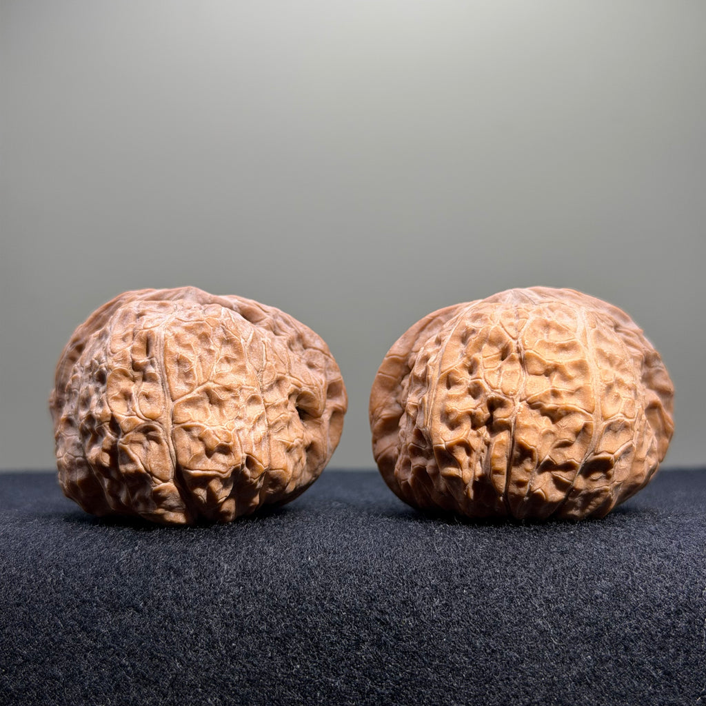 Pumpkin Wenwan Walnut · 43mm · Natural · Entry Ritual
