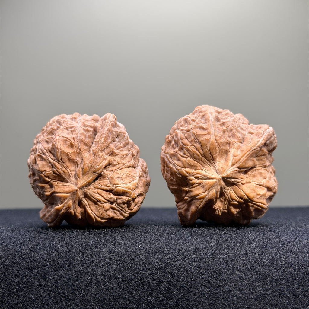 Pumpkin Wenwan Walnut · 43mm · Natural · Entry Ritual