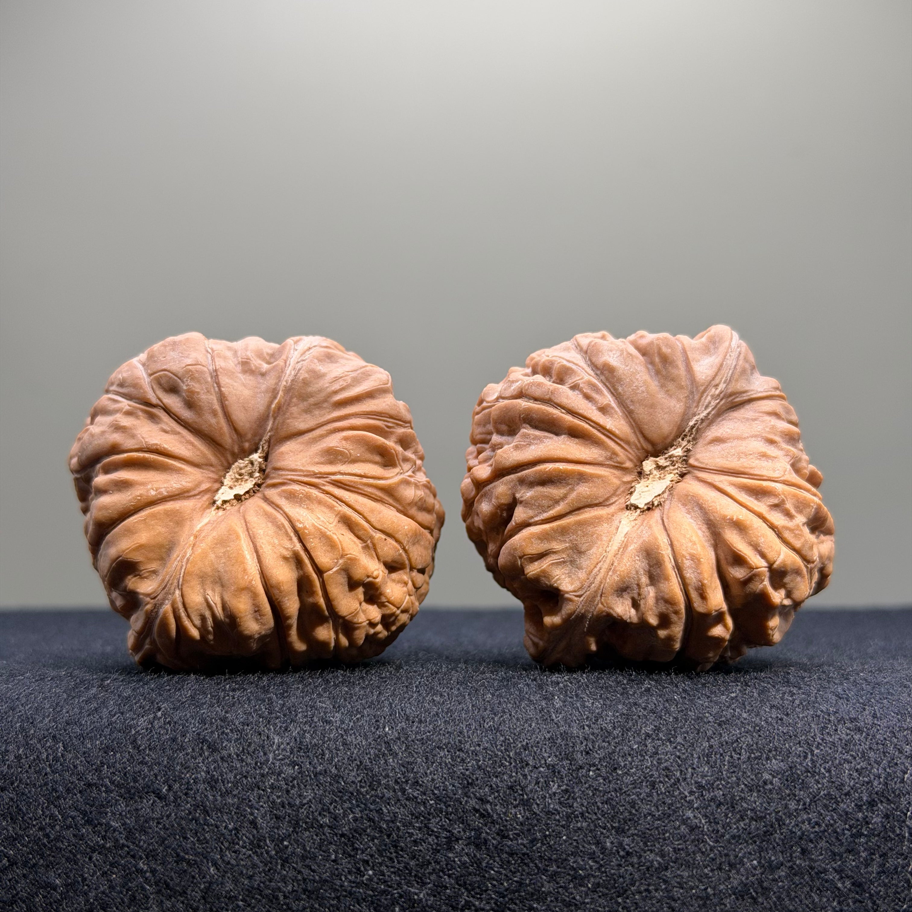 Pumpkin Wenwan Walnut · 41mm · Natural · Entry Ritual