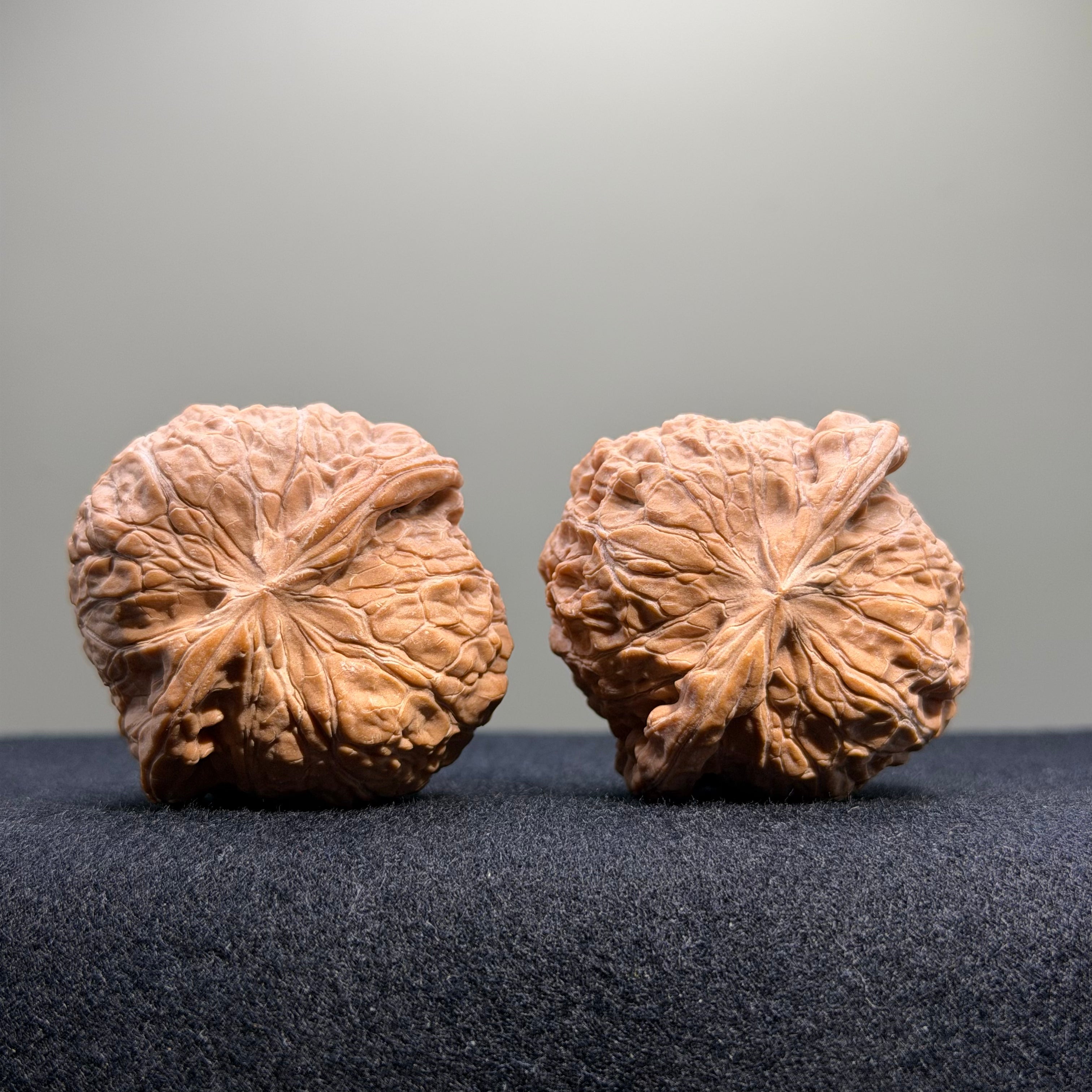 Pumpkin Wenwan Walnut · 41mm · Natural · Entry Ritual