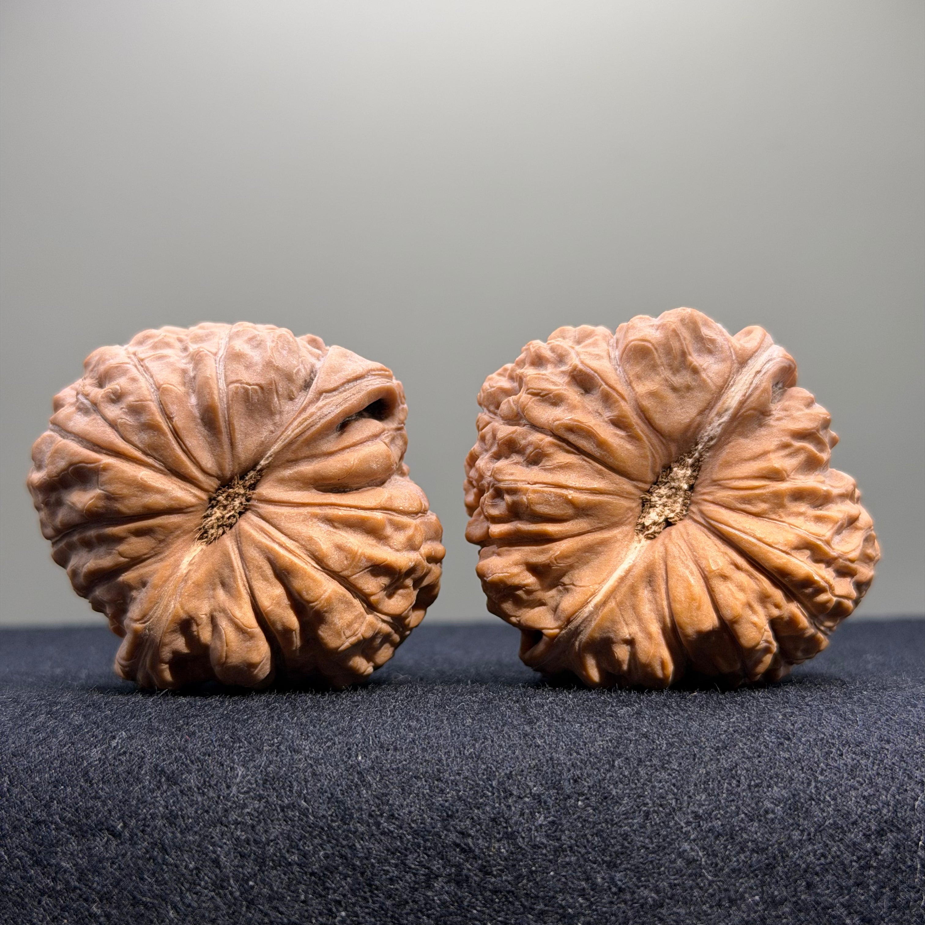 Pumpkin Wenwan Walnut · 41mm · Natural · Entry Ritual