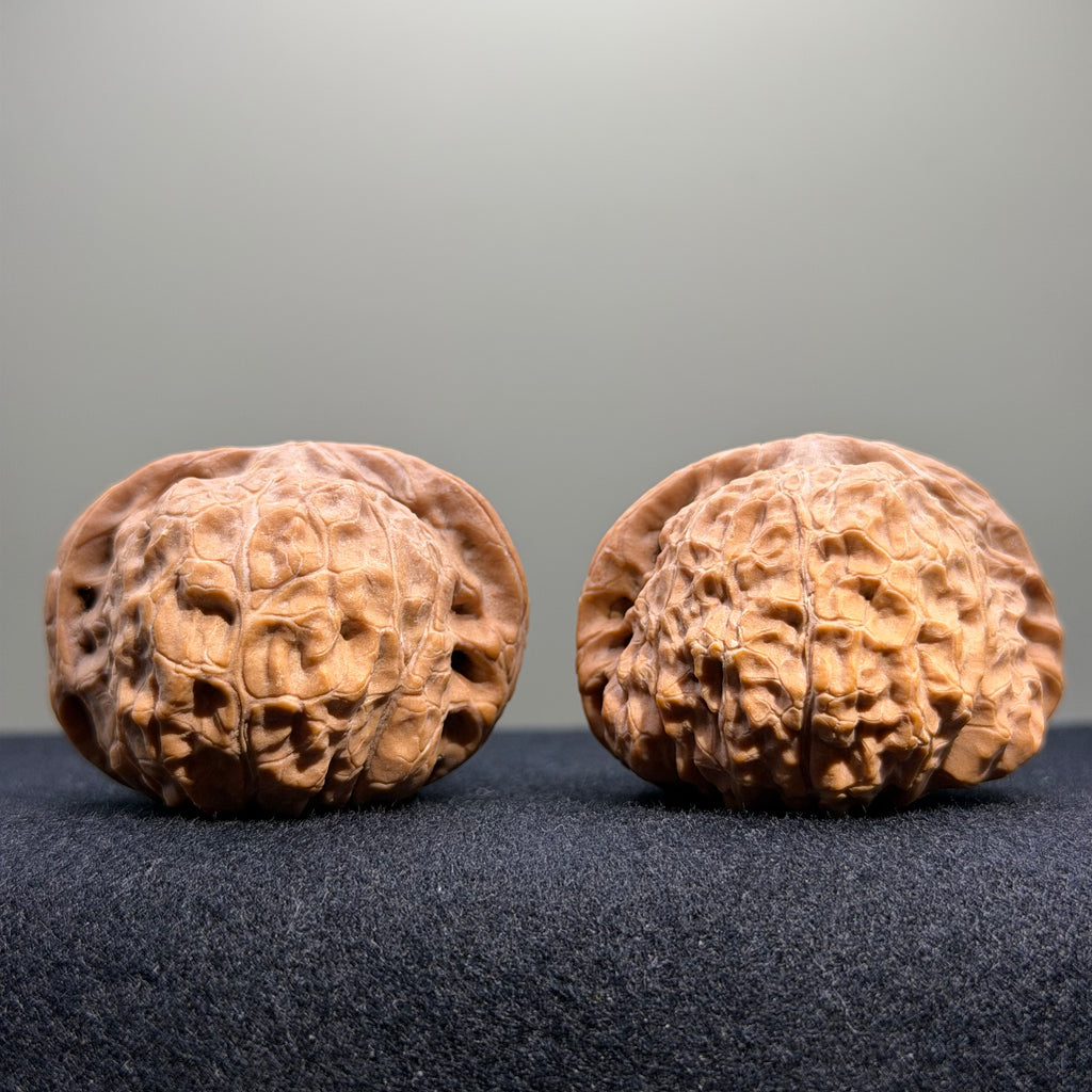 Pumpkin Wenwan Walnut · 41mm · Natural · Entry Ritual