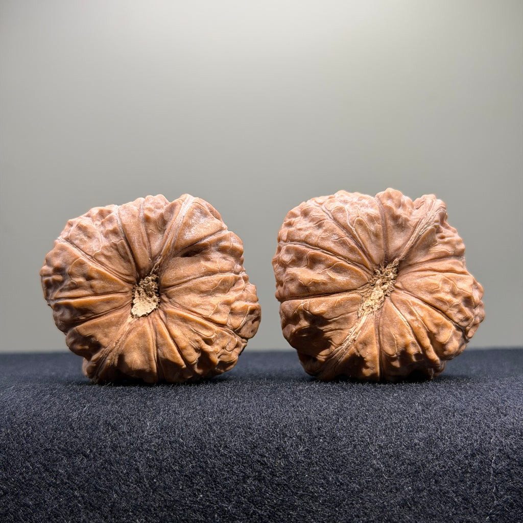 Pumpkin Wenwan Walnut · 43mm · Natural · Entry Ritual