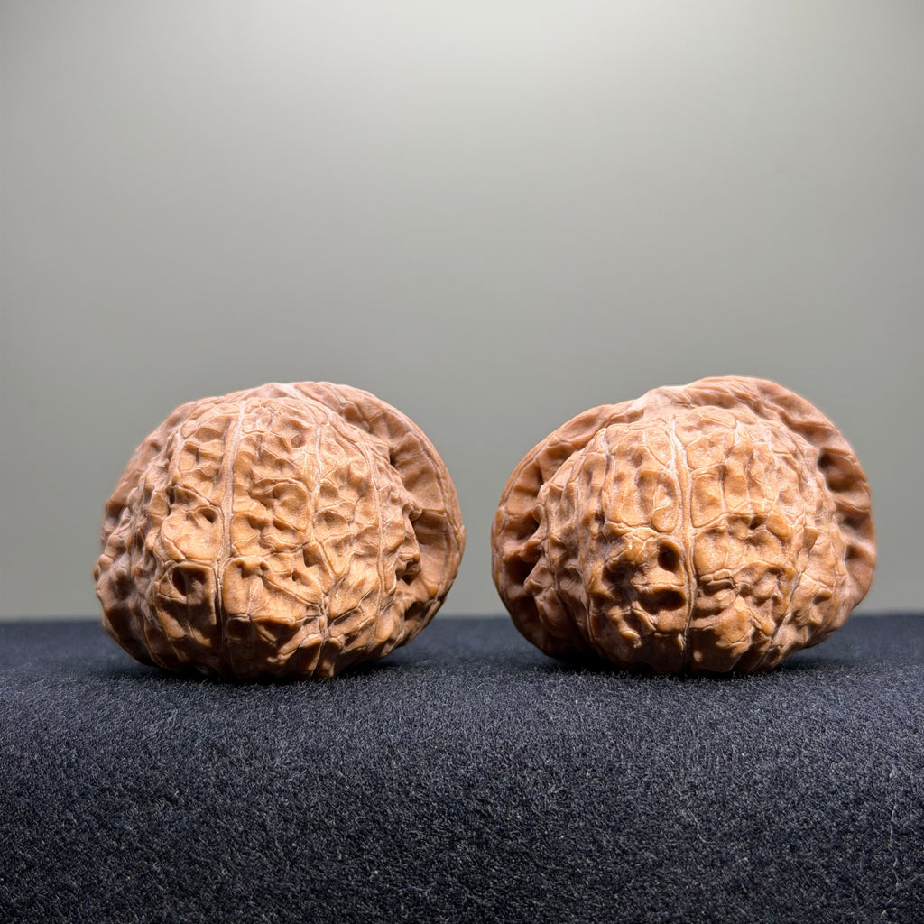 Pumpkin Wenwan Walnut · 43mm · Natural · Entry Ritual