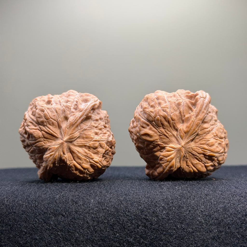 Pumpkin Wenwan Walnut · 43mm · Natural · Entry Ritual