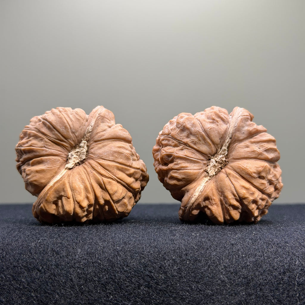 Pumpkin Wenwan Walnut · 43mm · Natural · Select Ritual