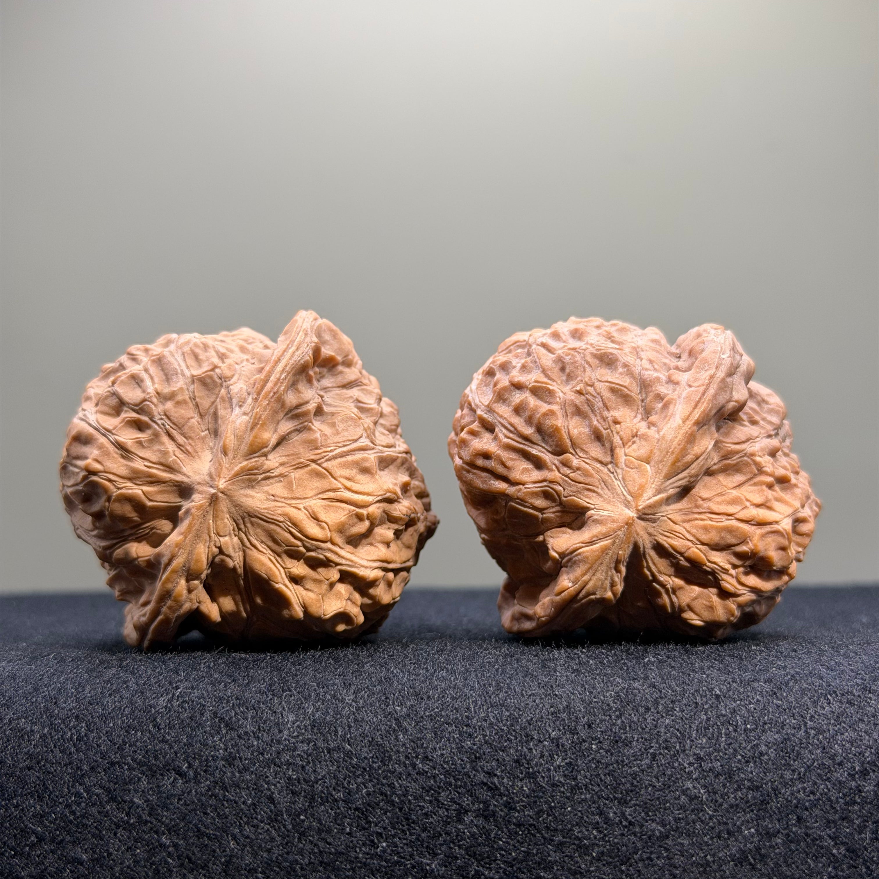 Pumpkin Wenwan Walnut · 43mm · Natural · Select Ritual