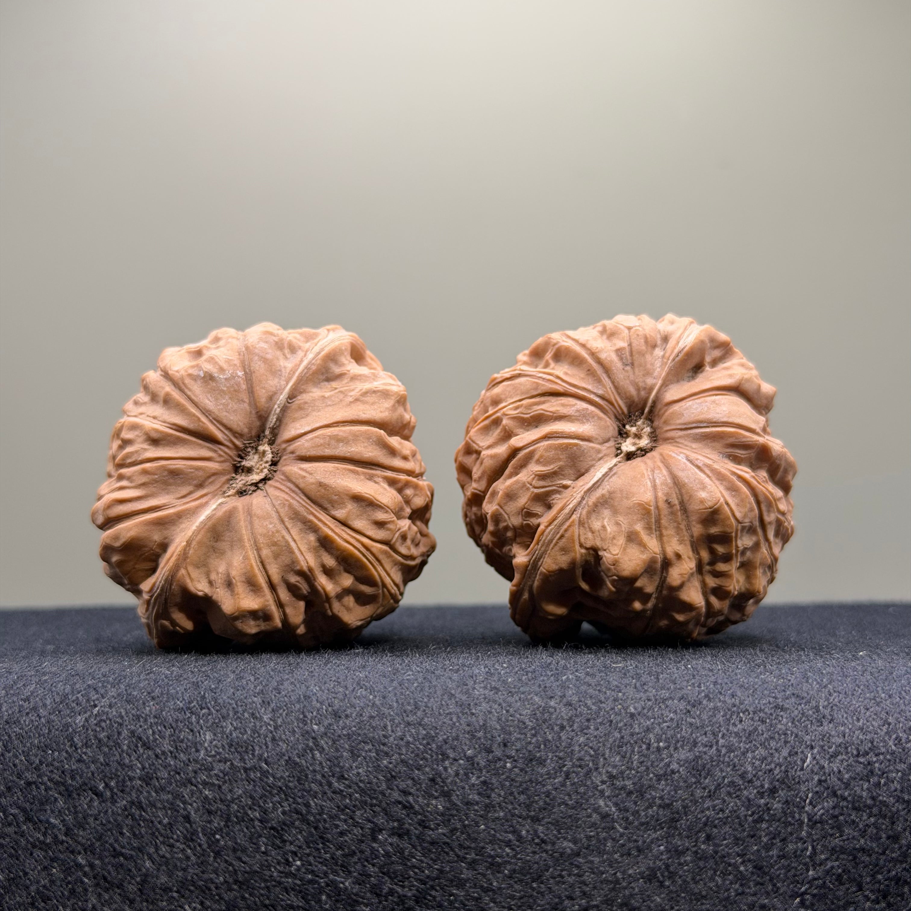 Pumpkin Wenwan Walnut · 46mm · Natural · Select Ritual