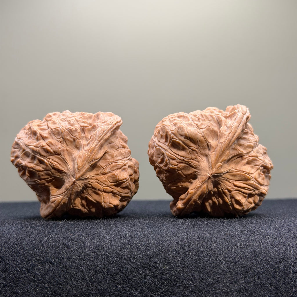 Pumpkin Wenwan Walnut · 44mm · Natural · Select Ritual