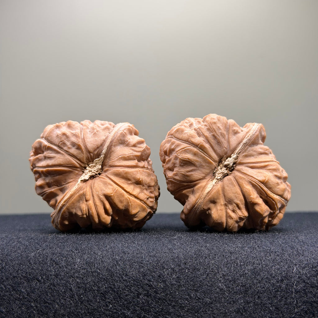 Pumpkin Wenwan Walnut · 42mm · Natural · Select Ritual