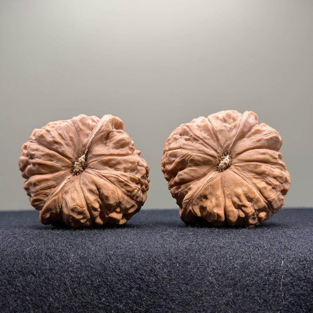 Pumpkin Wenwan Walnut · 44mm · Natural · Select Ritual