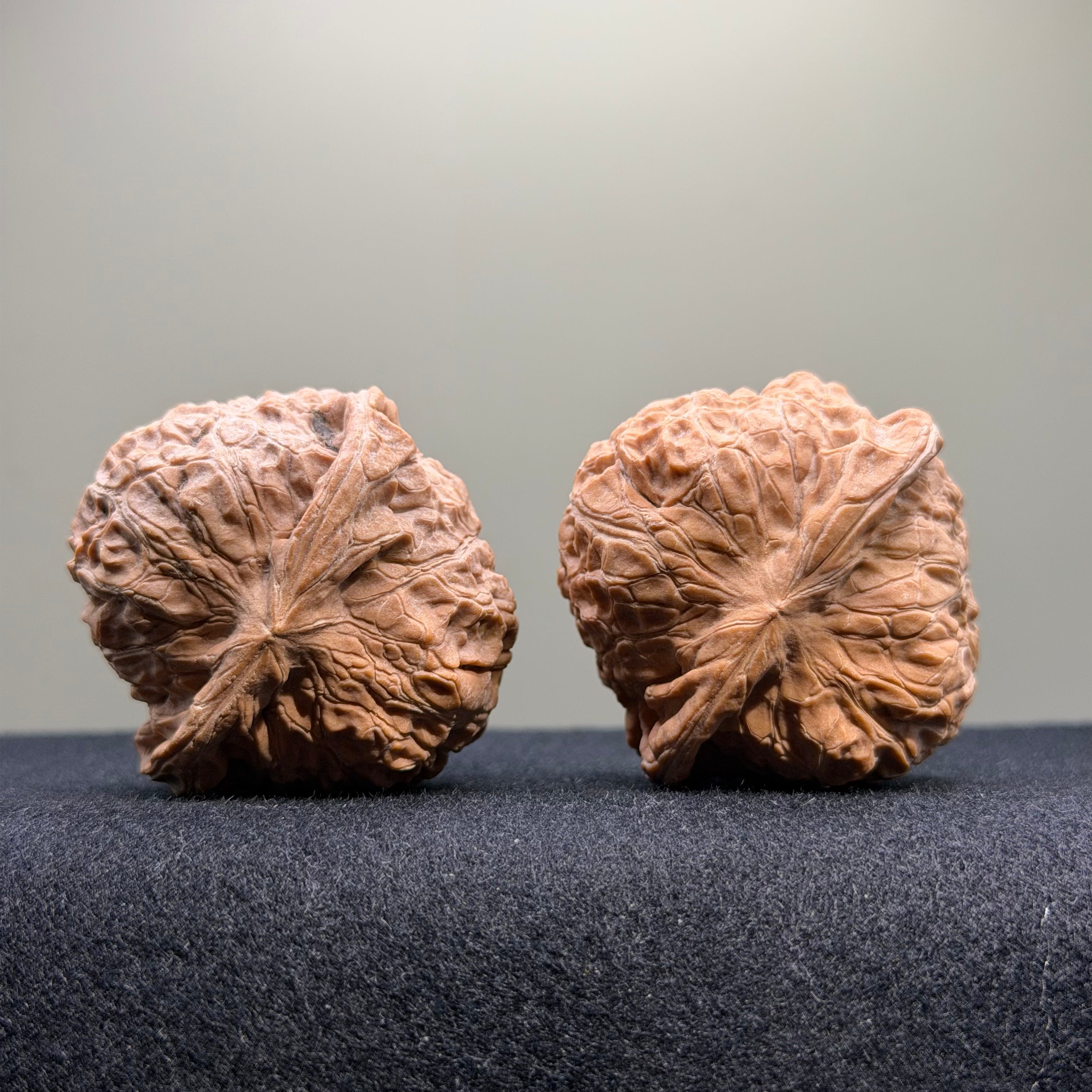 Pumpkin Wenwan Walnut · 44mm · Natural · Select Ritual
