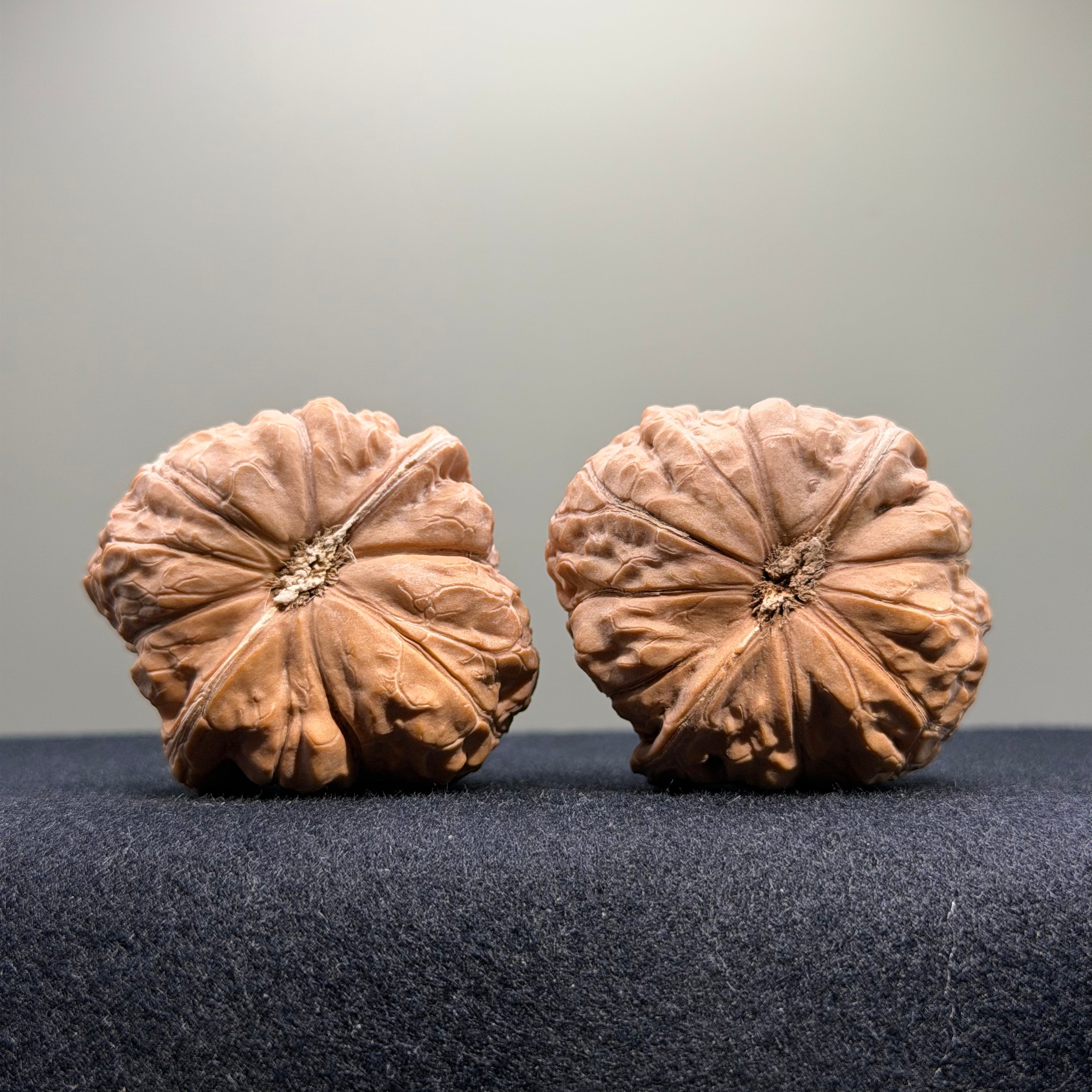 Pumpkin Wenwan Walnut · 43mm · Natural · Select Ritual