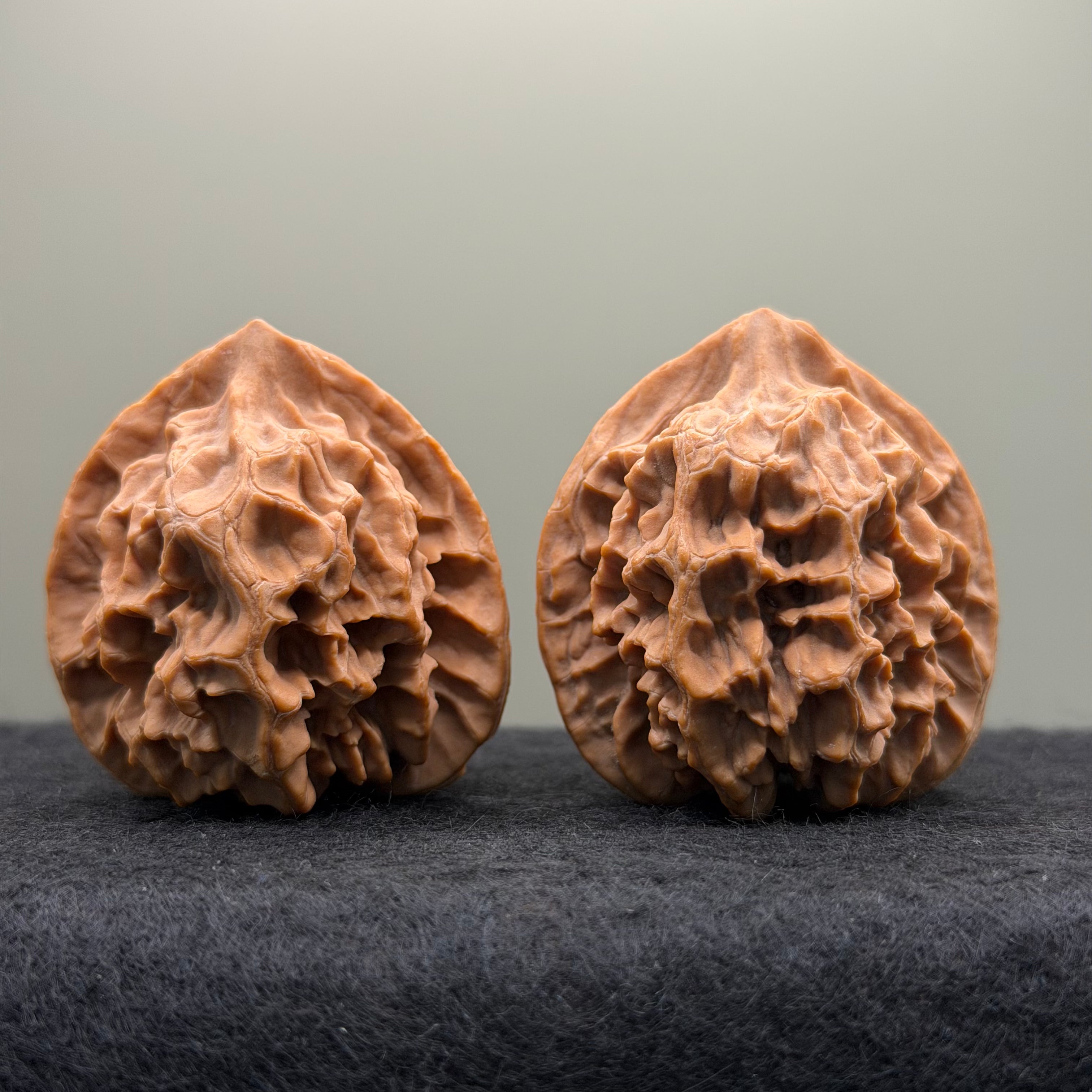 Champion Crown Official Hat Wenwan Walnut